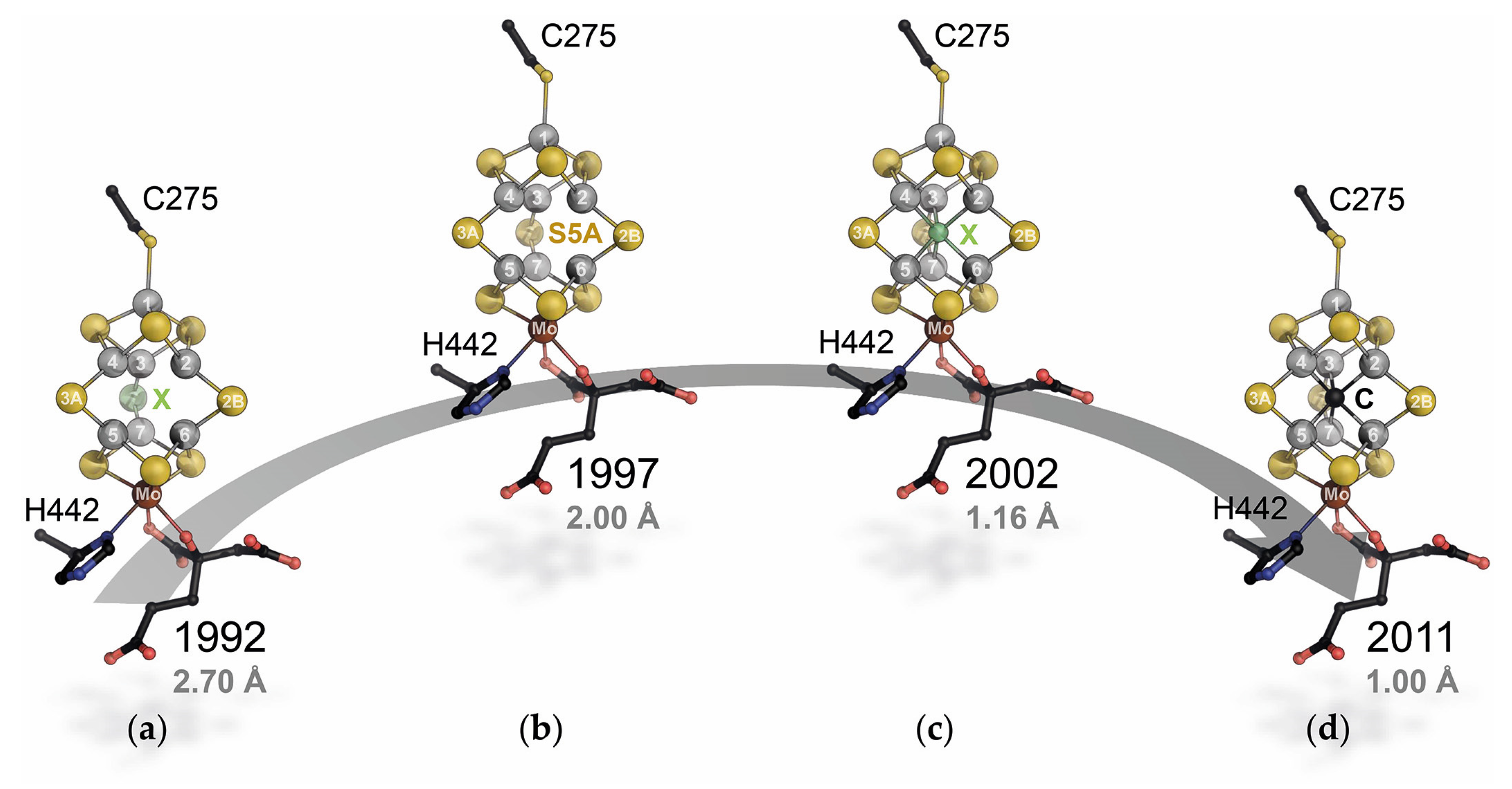 Molecules 28 07959 g002