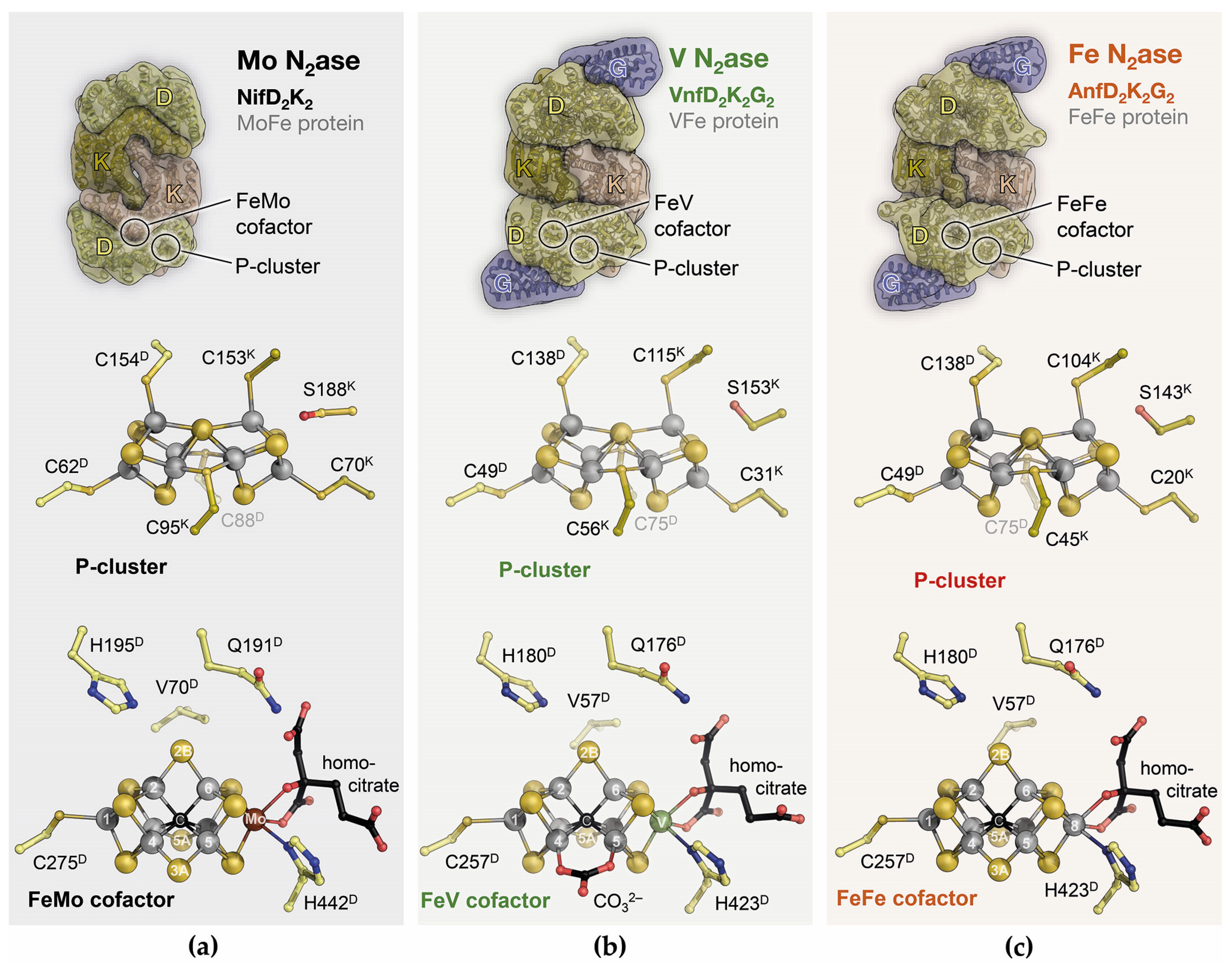 Molecules 28 07959 g004