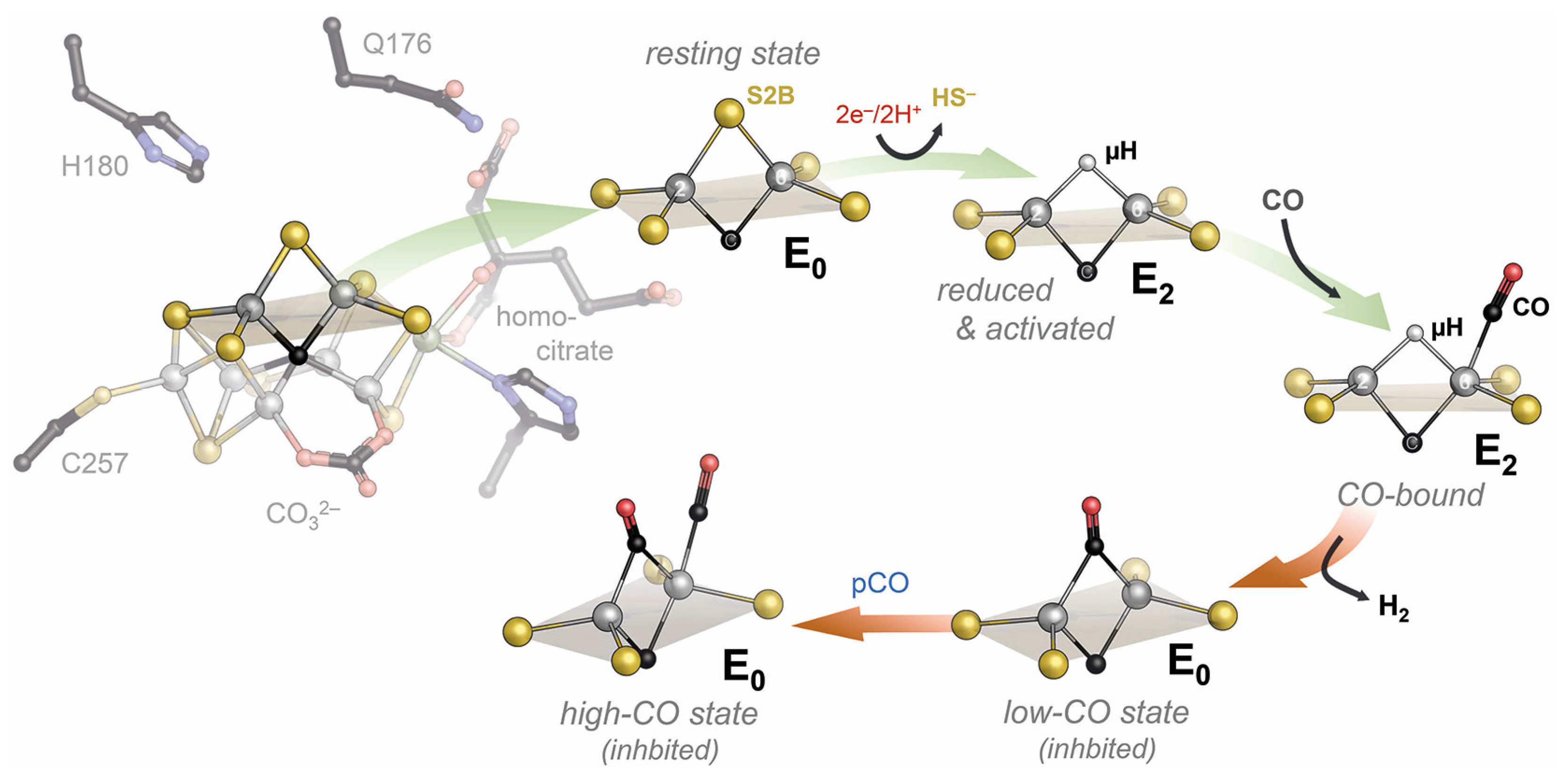 Molecules 28 07959 g005