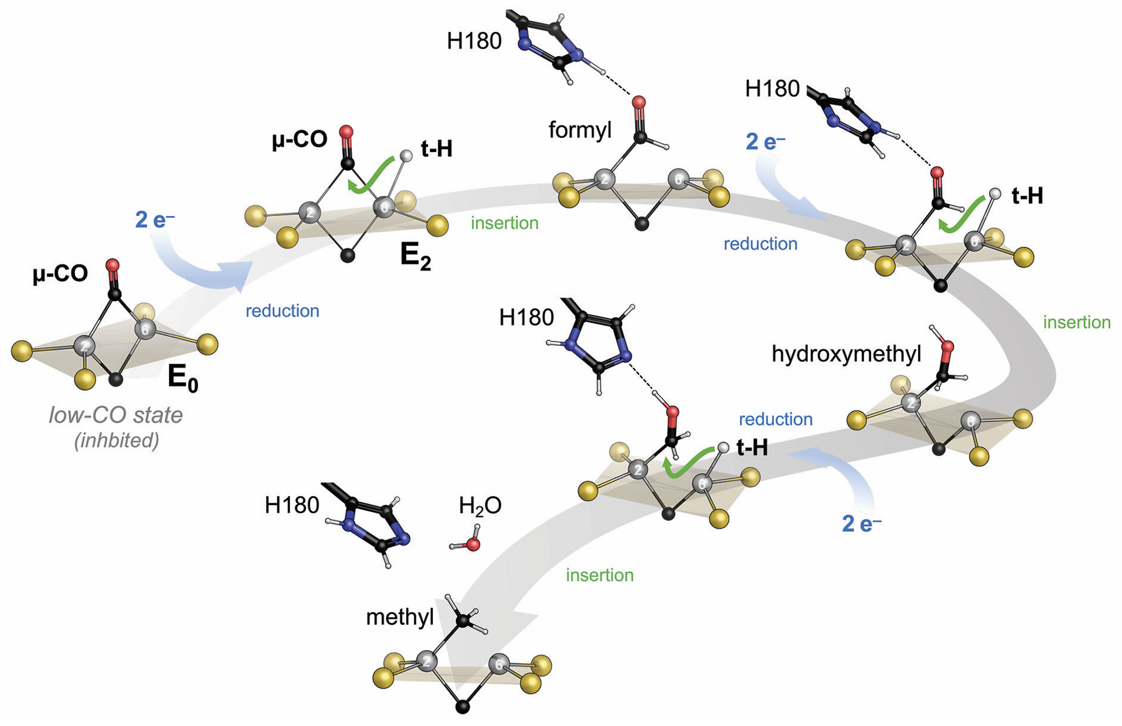 Molecules 28 07959 g006
