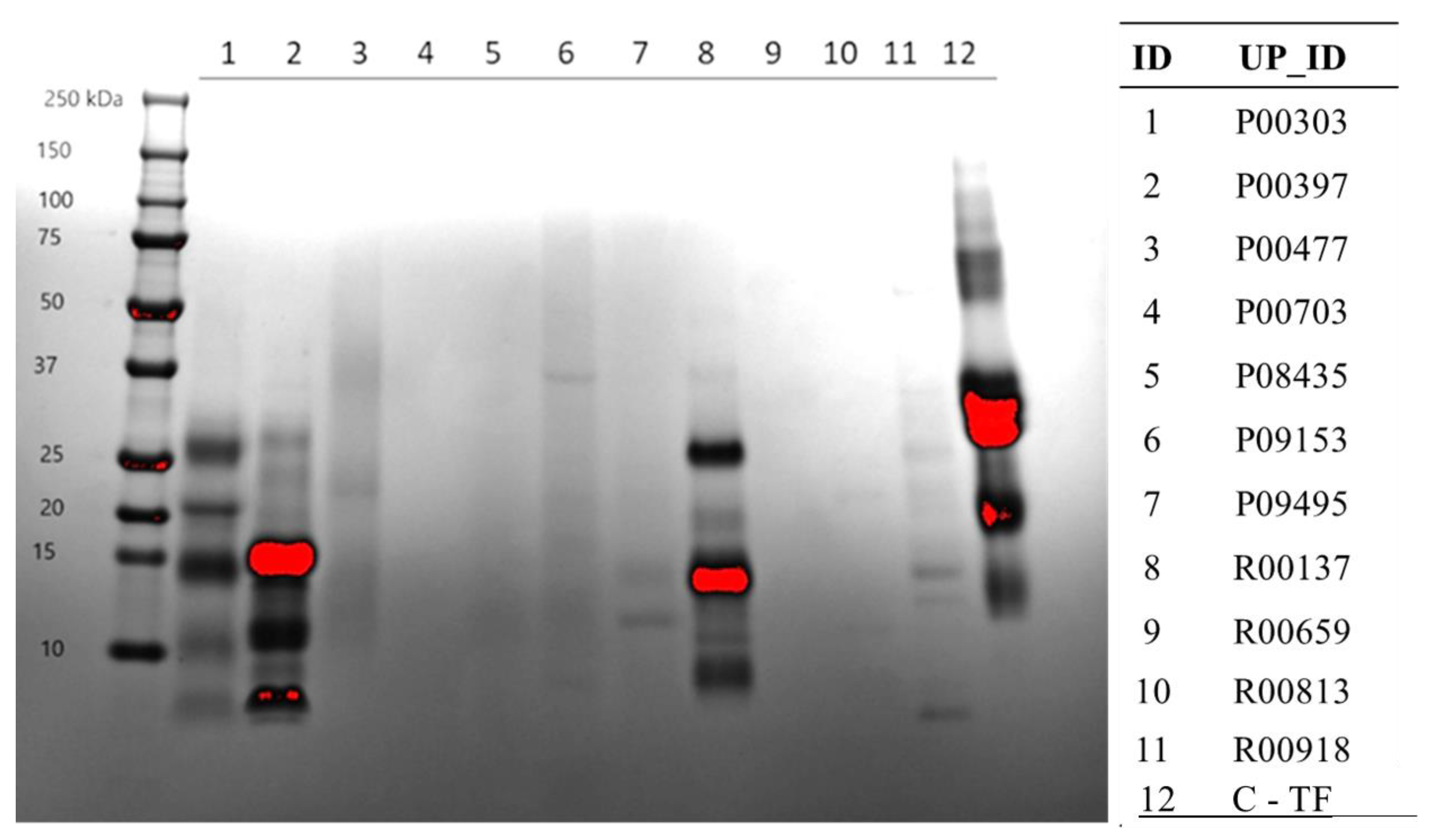 Molecules 28 07961 g003