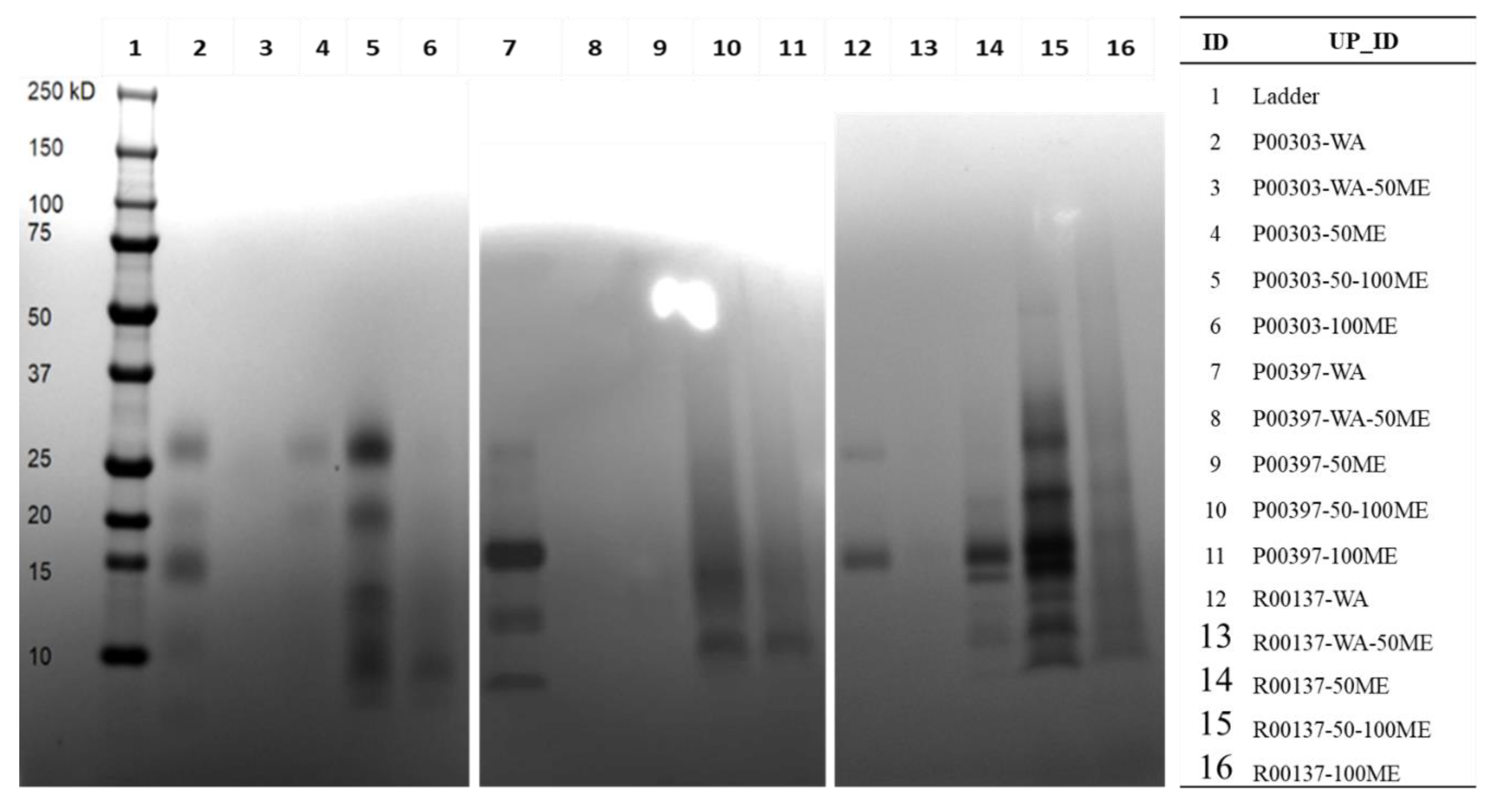 Molecules 28 07961 g004