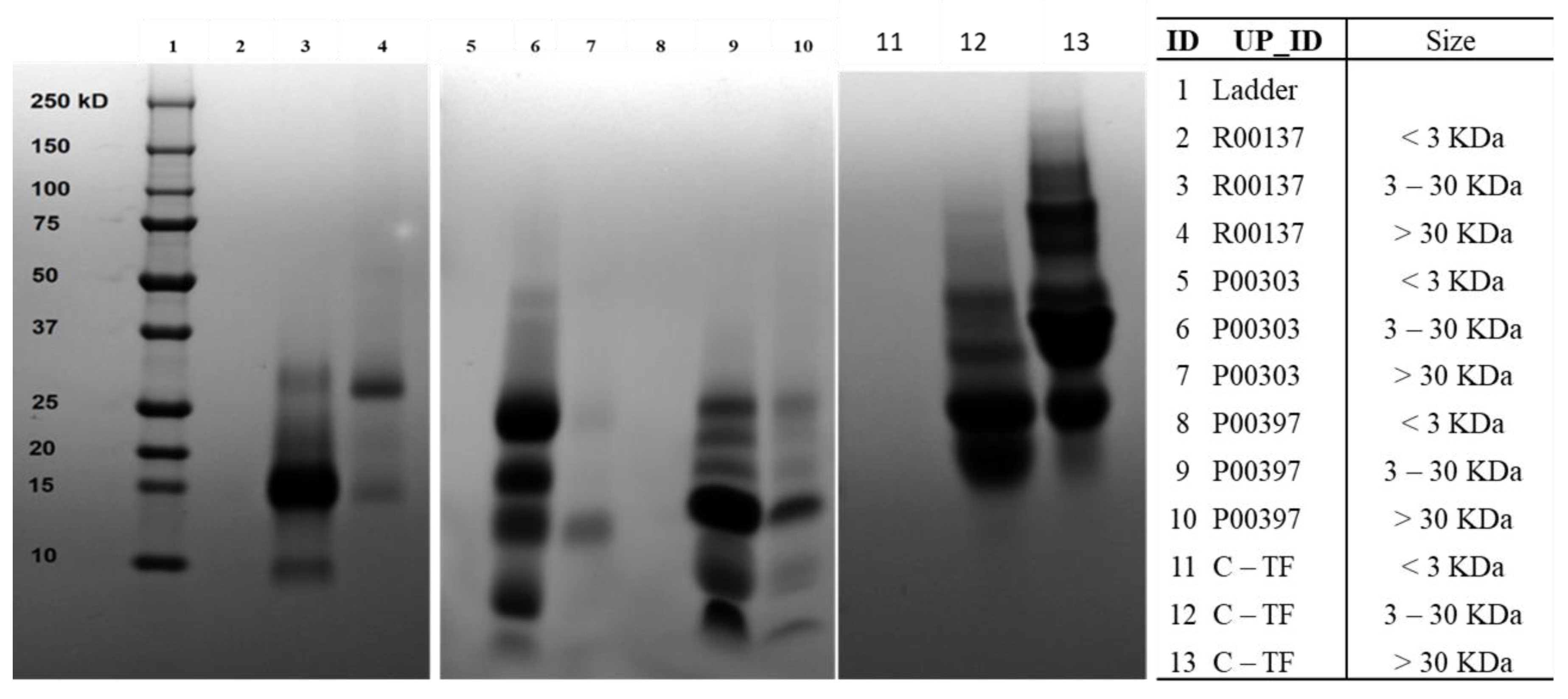 Molecules 28 07961 g006