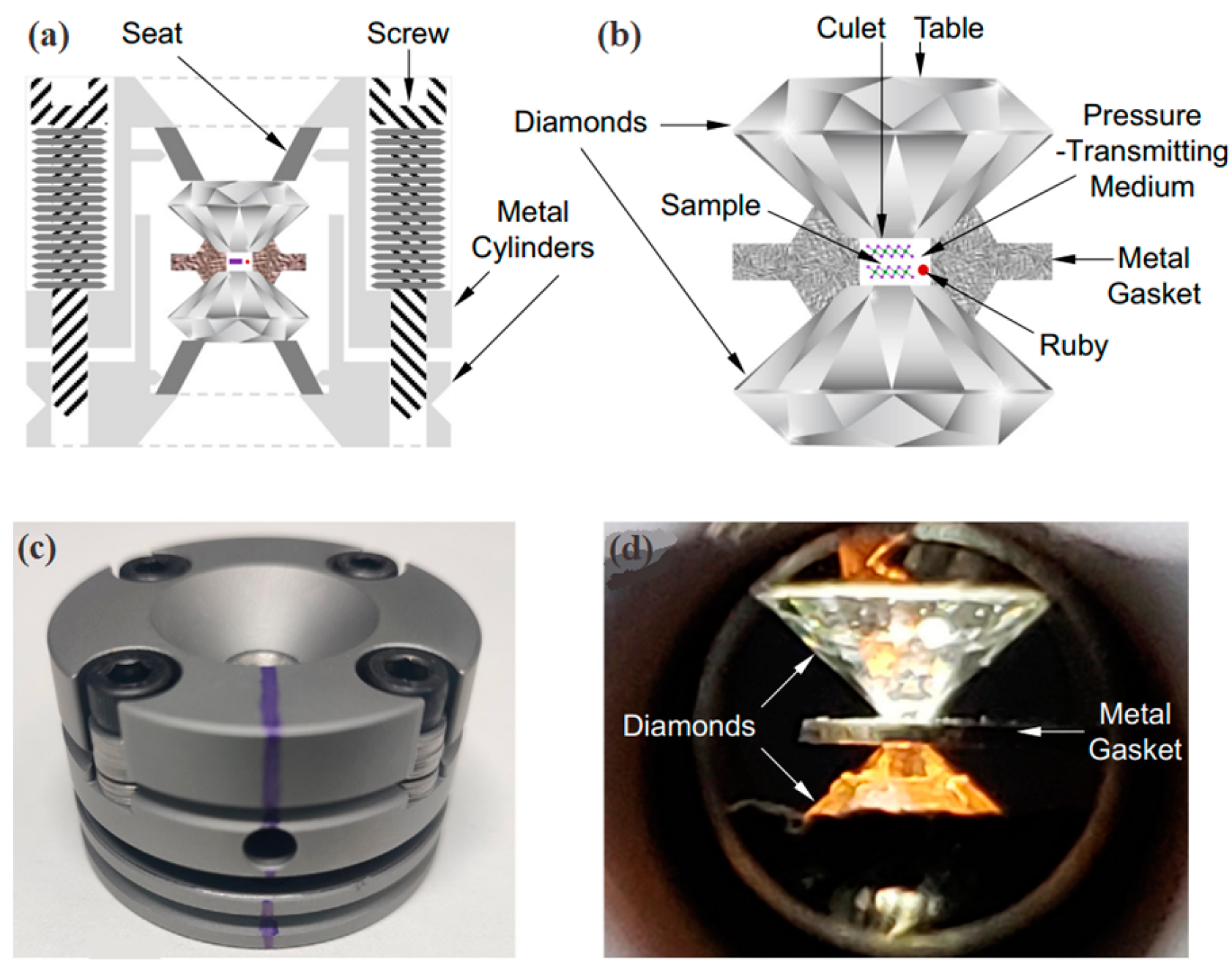 Molecules 28 07971 g001