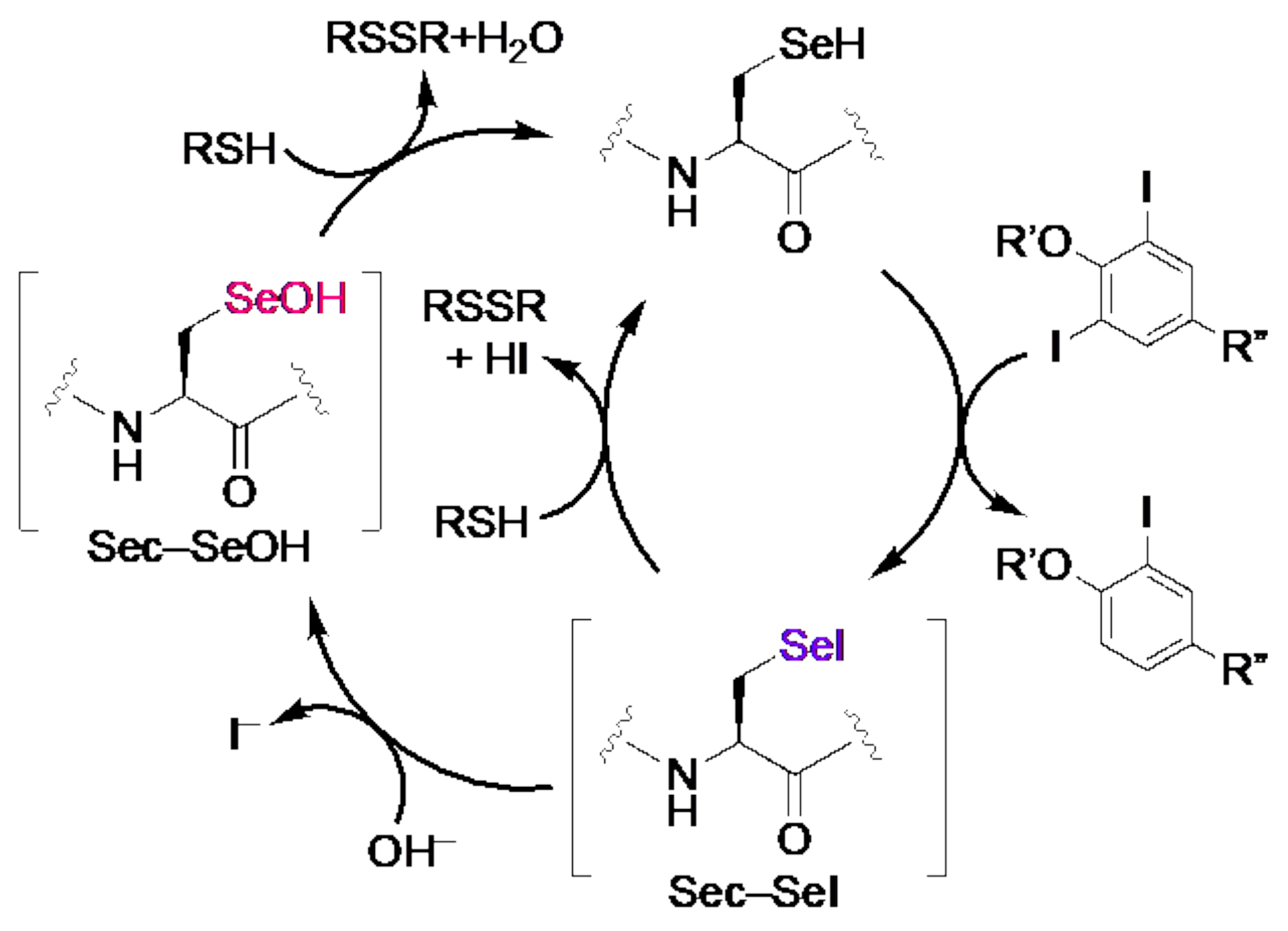 Molecules 28 07972 sch002
