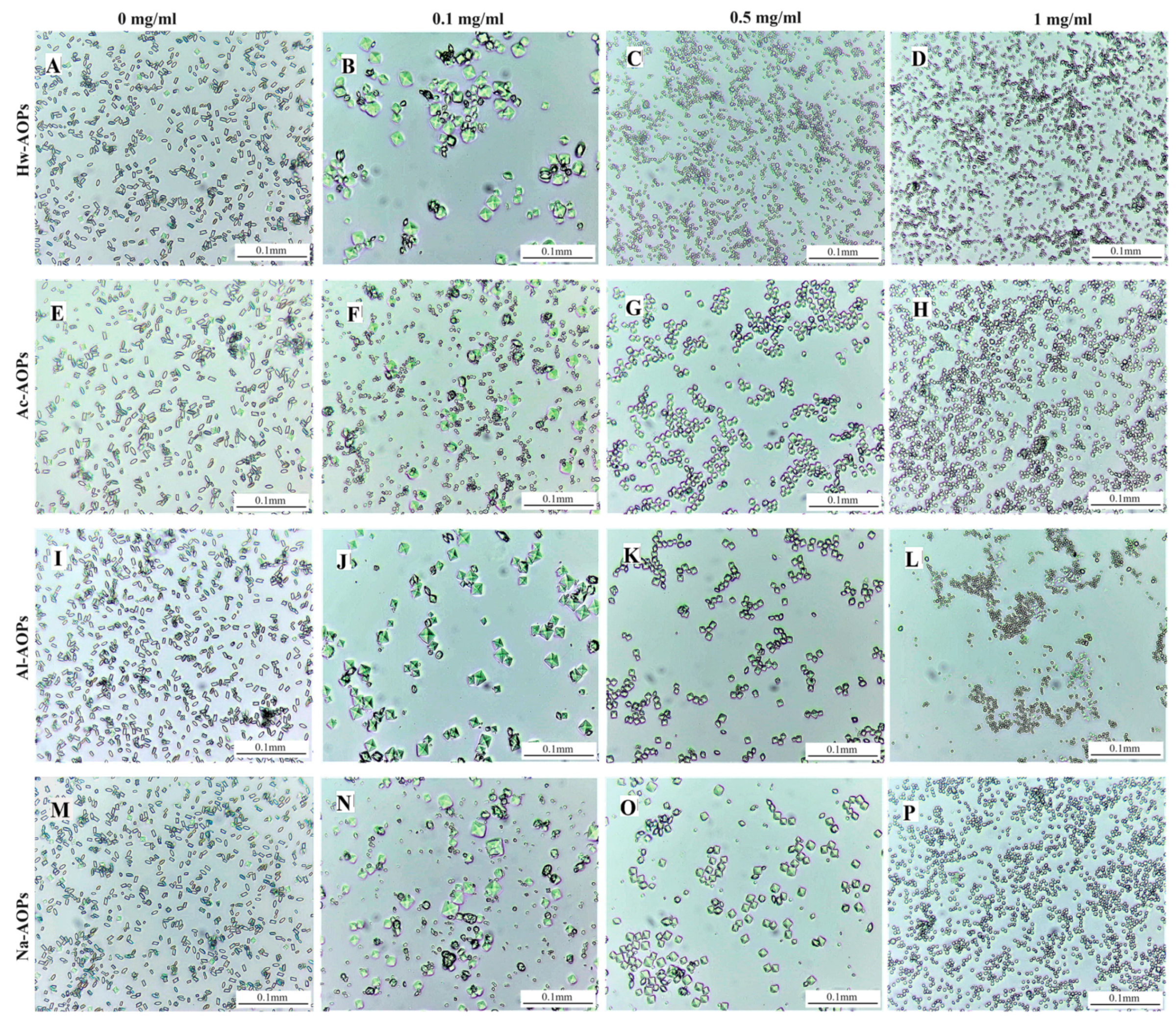 Molecules 28 07977 g006