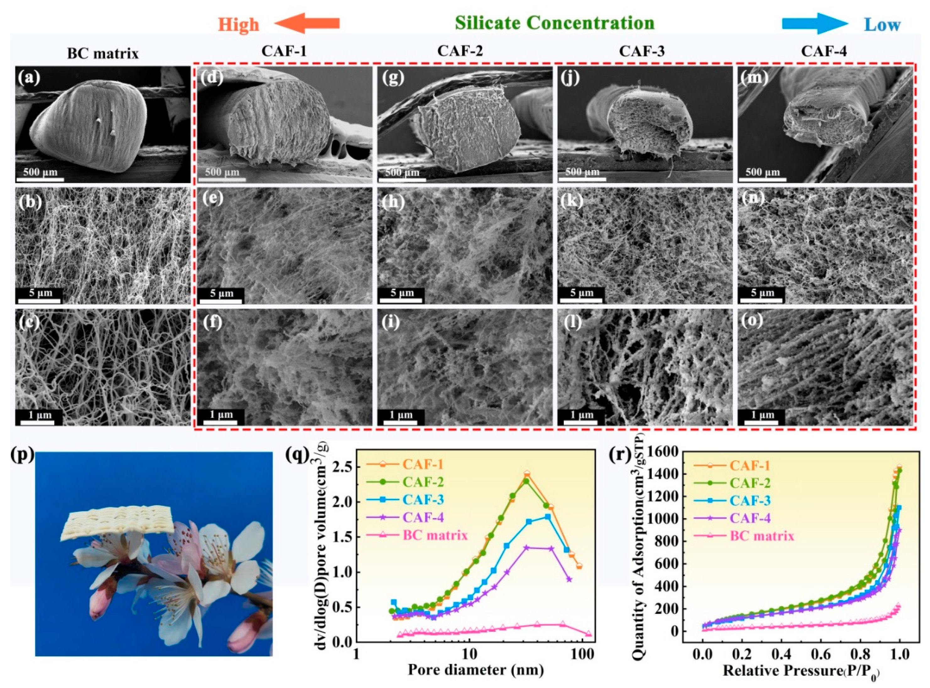 Molecules 28 07978 g001