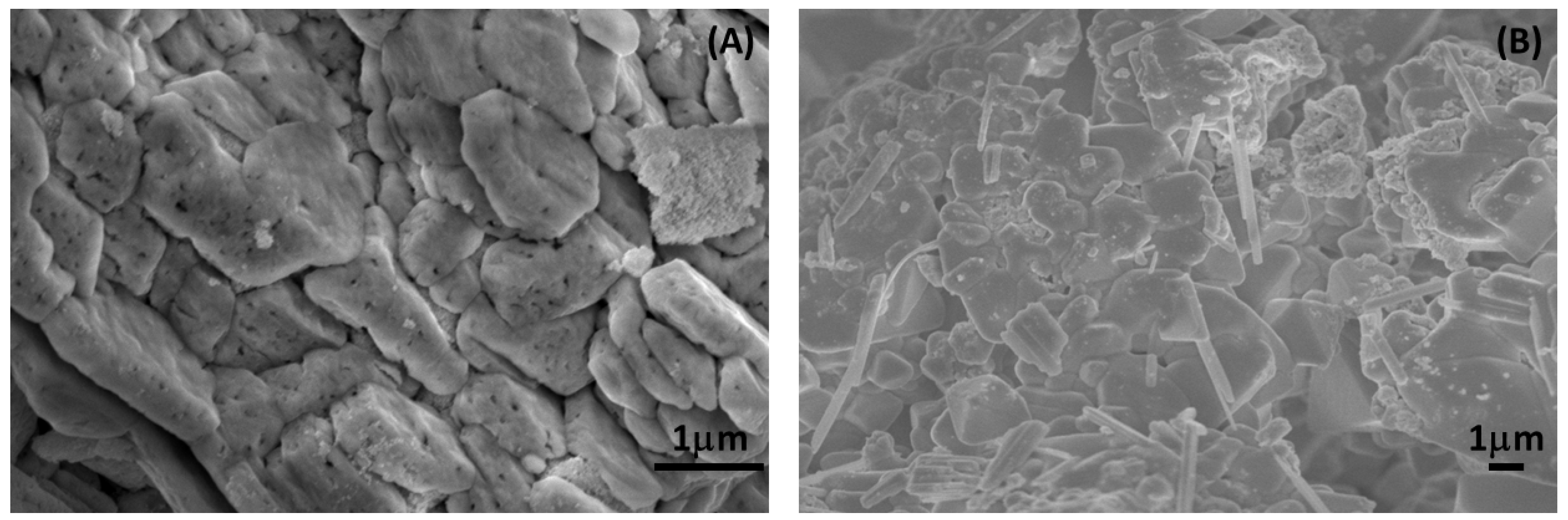Molecules 28 07979 g008