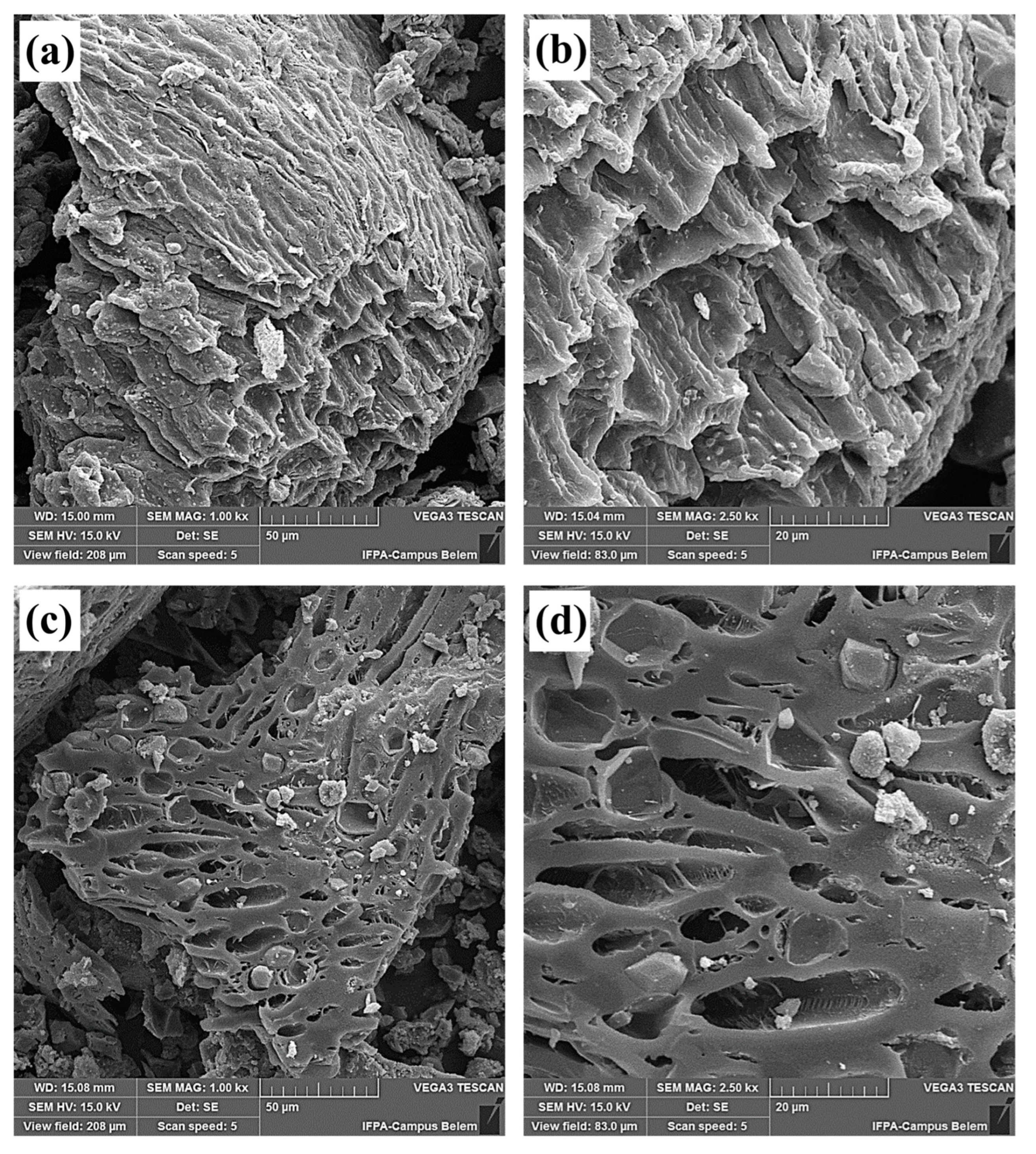 Molecules 28 07980 g005