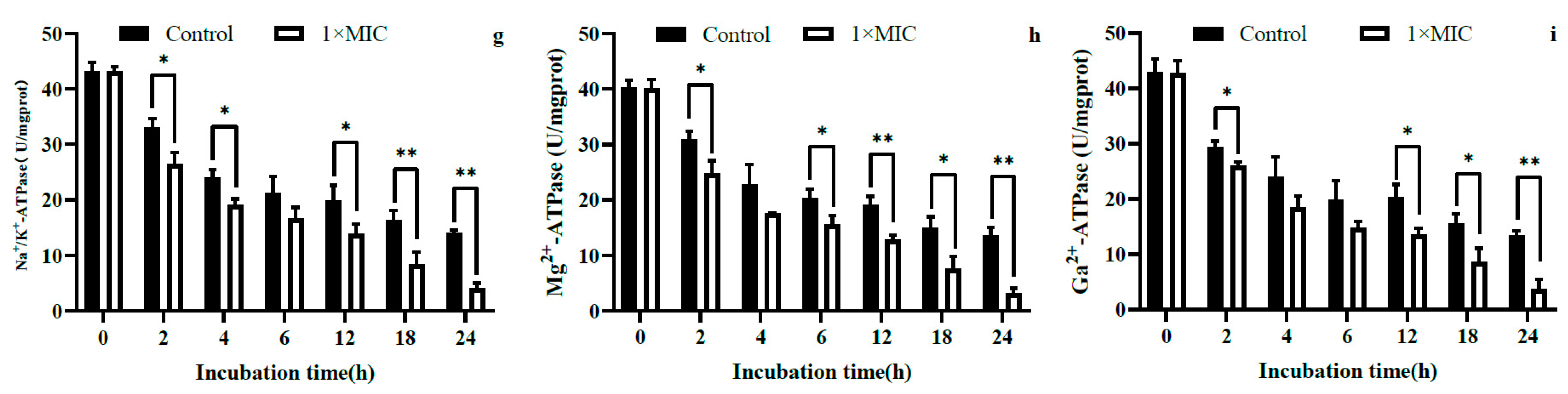 Molecules 28 07981 g006b