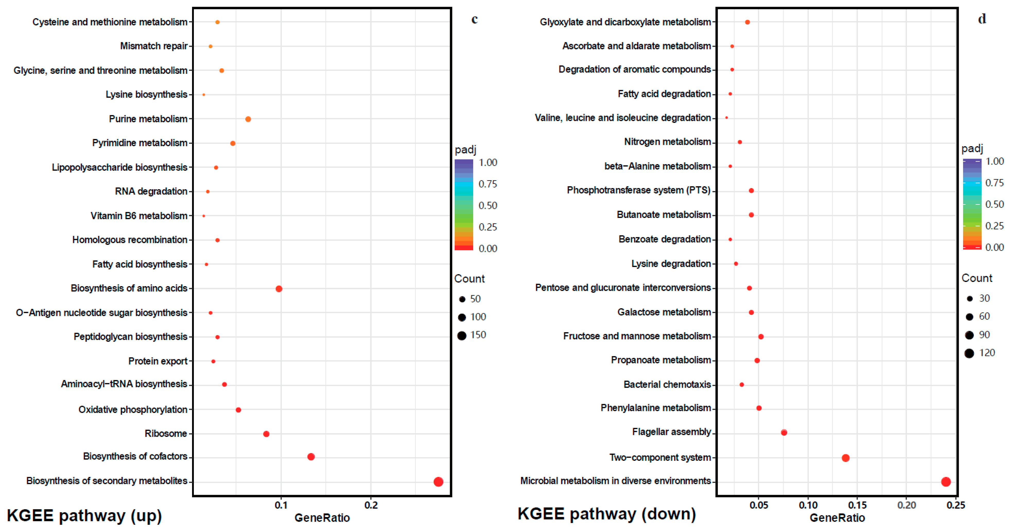Molecules 28 07981 g011b