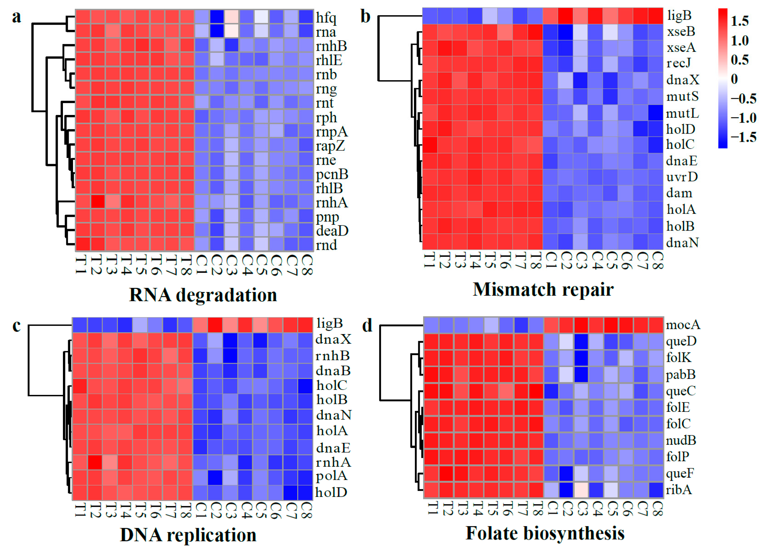 Molecules 28 07981 g016