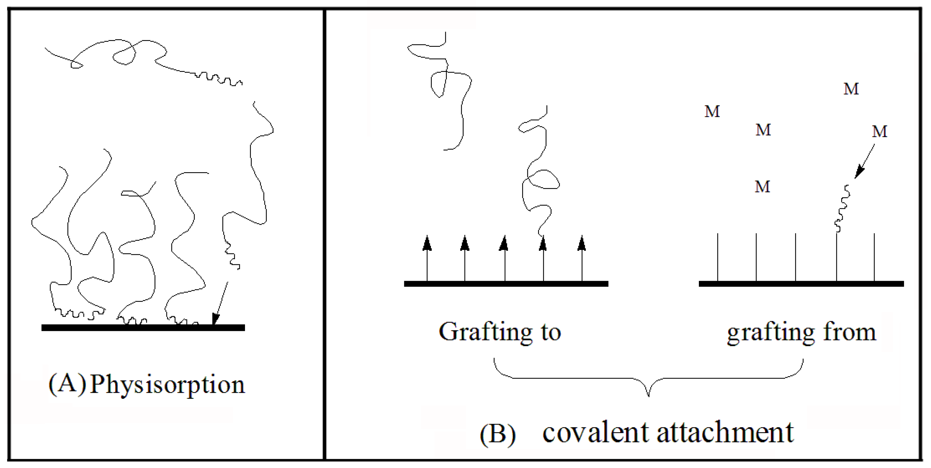Molecules 28 07984 g007 Molecules 28 07984 g007