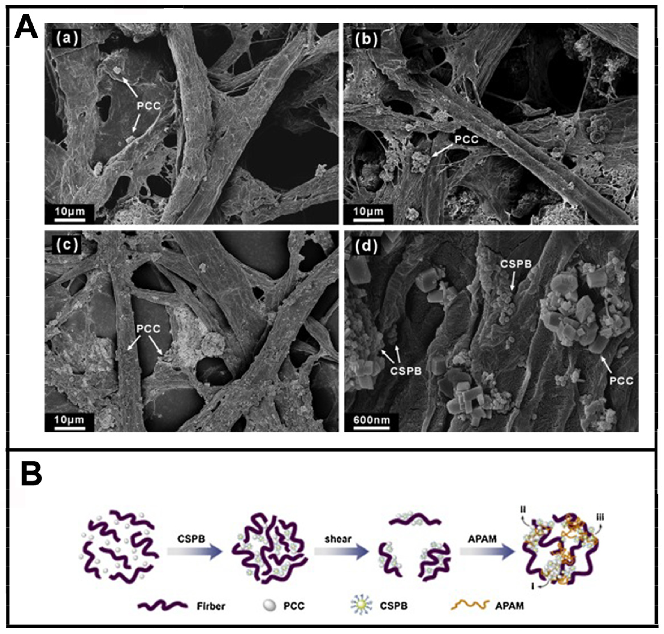Molecules 28 07984 g010 Molecules 28 07984 g010