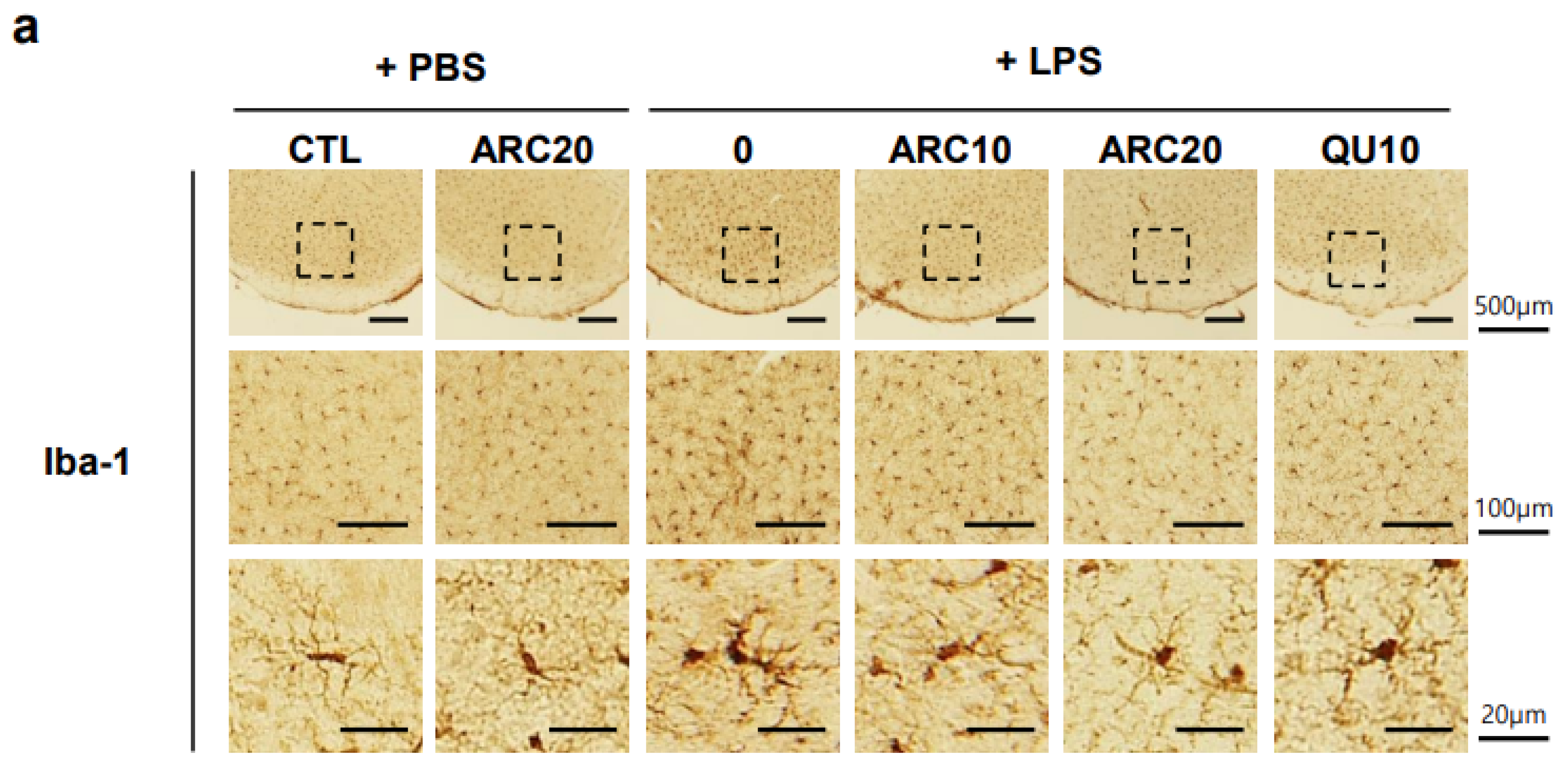 Molecules 28 07988 g003a