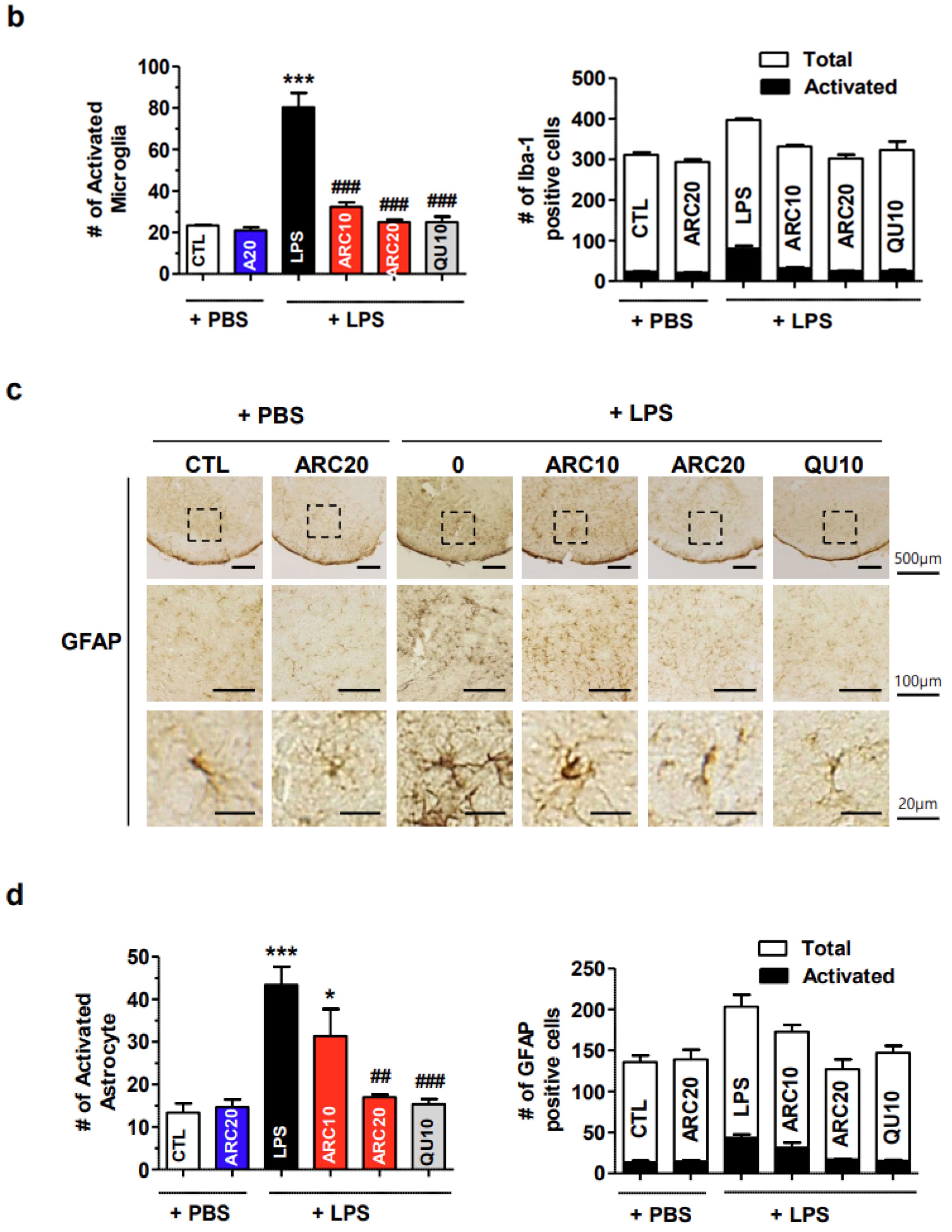 Molecules 28 07988 g003b