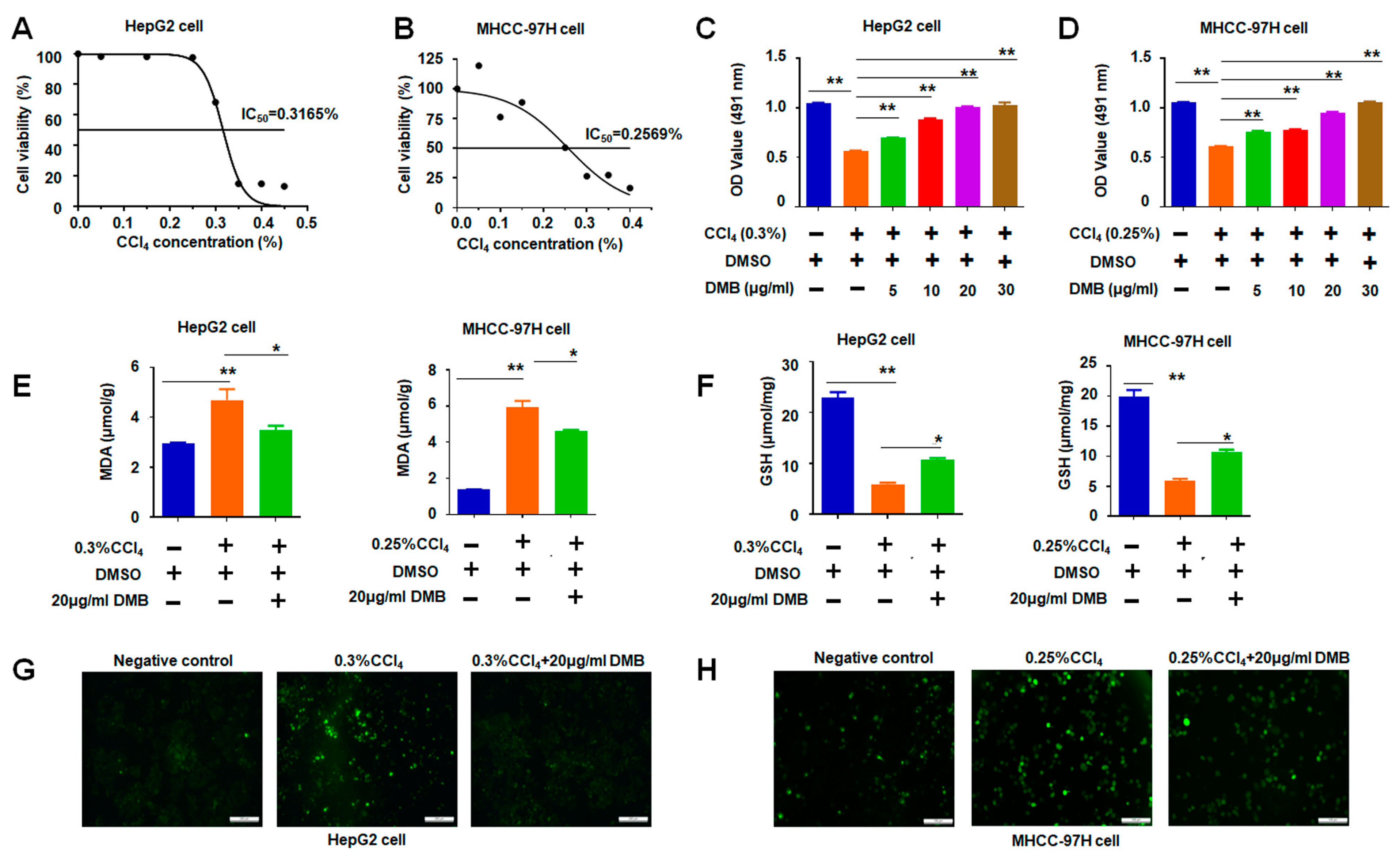 Molecules 28 07989 g005