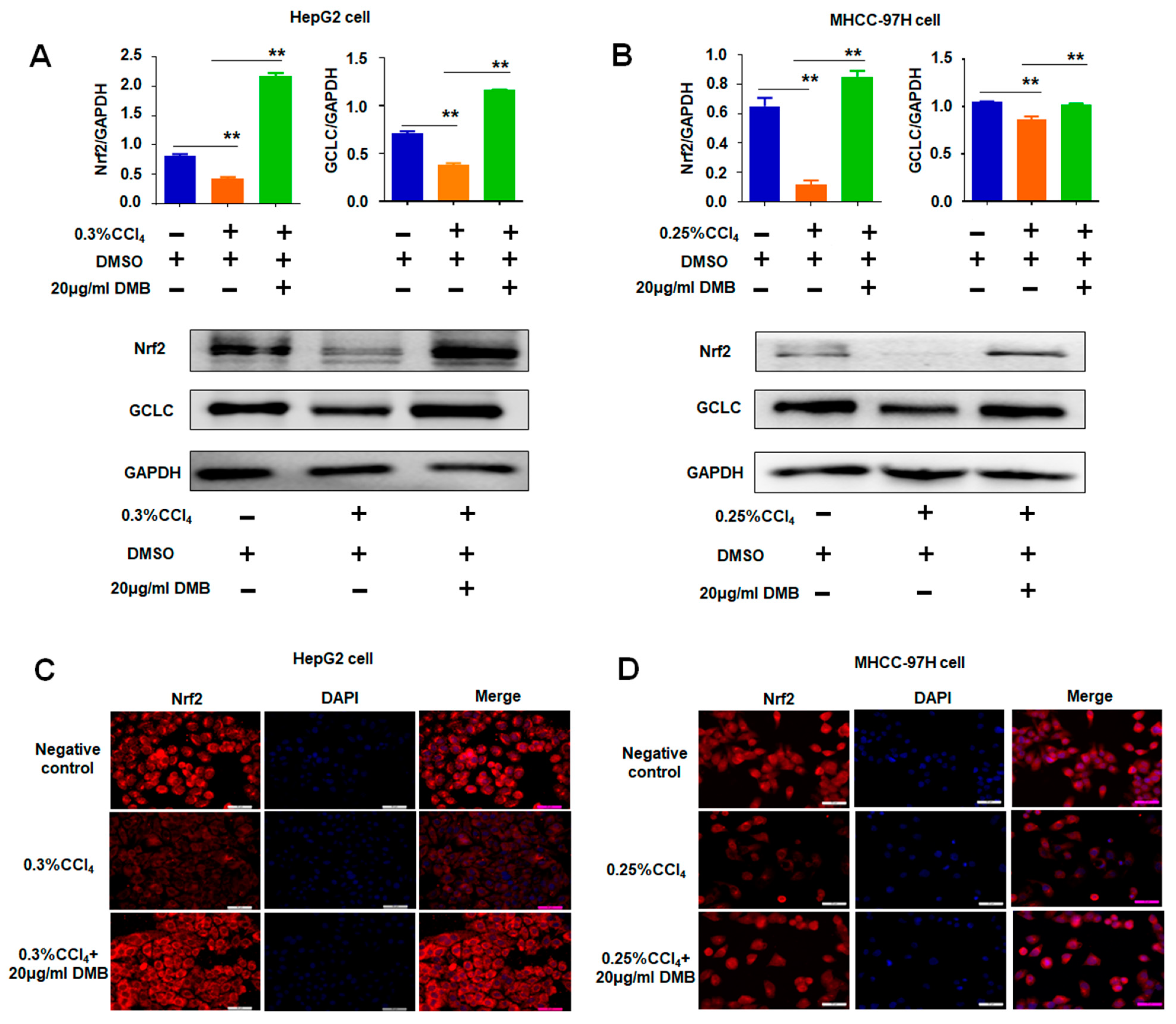 Molecules 28 07989 g006