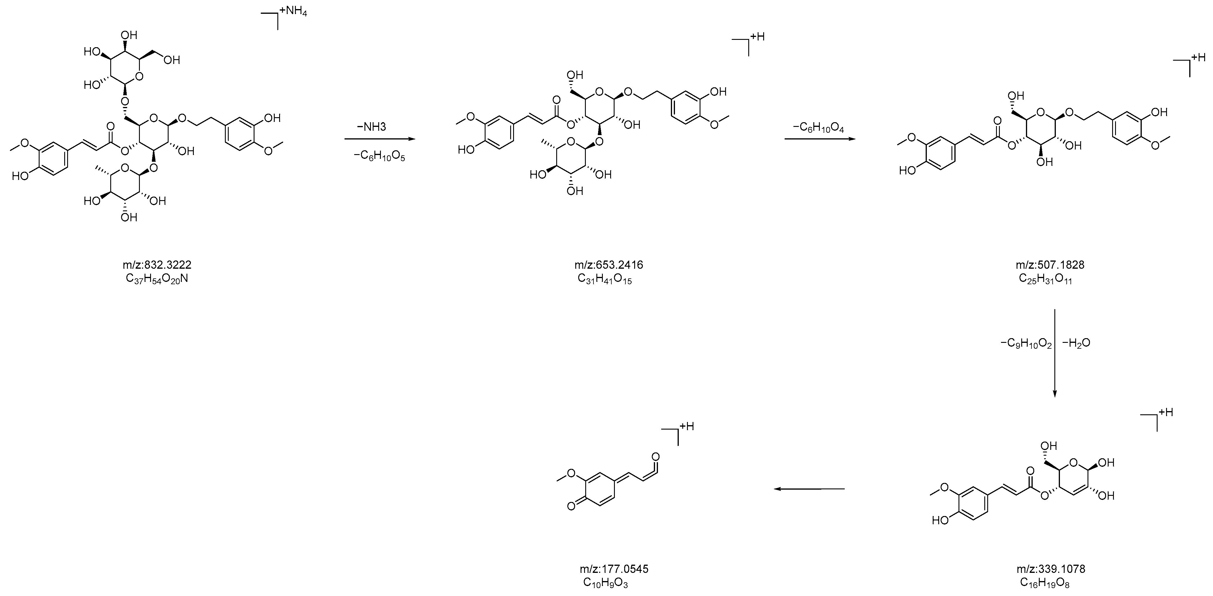 Molecules 28 07995 g012
