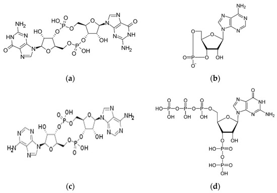 Nucleotides as Bacterial Second Messengers