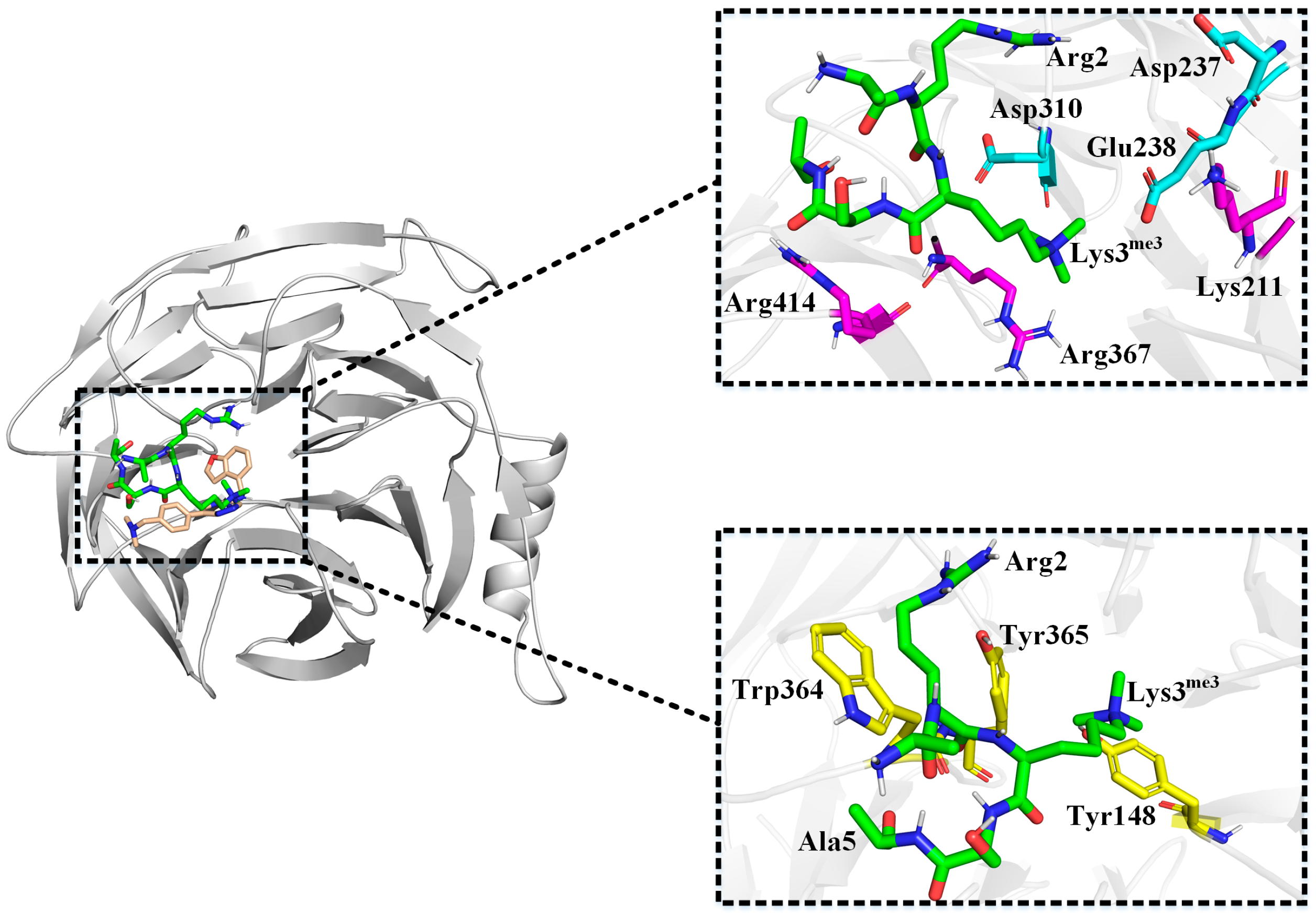 Molecules 28 07997 g013 Molecules 28 07997 g013