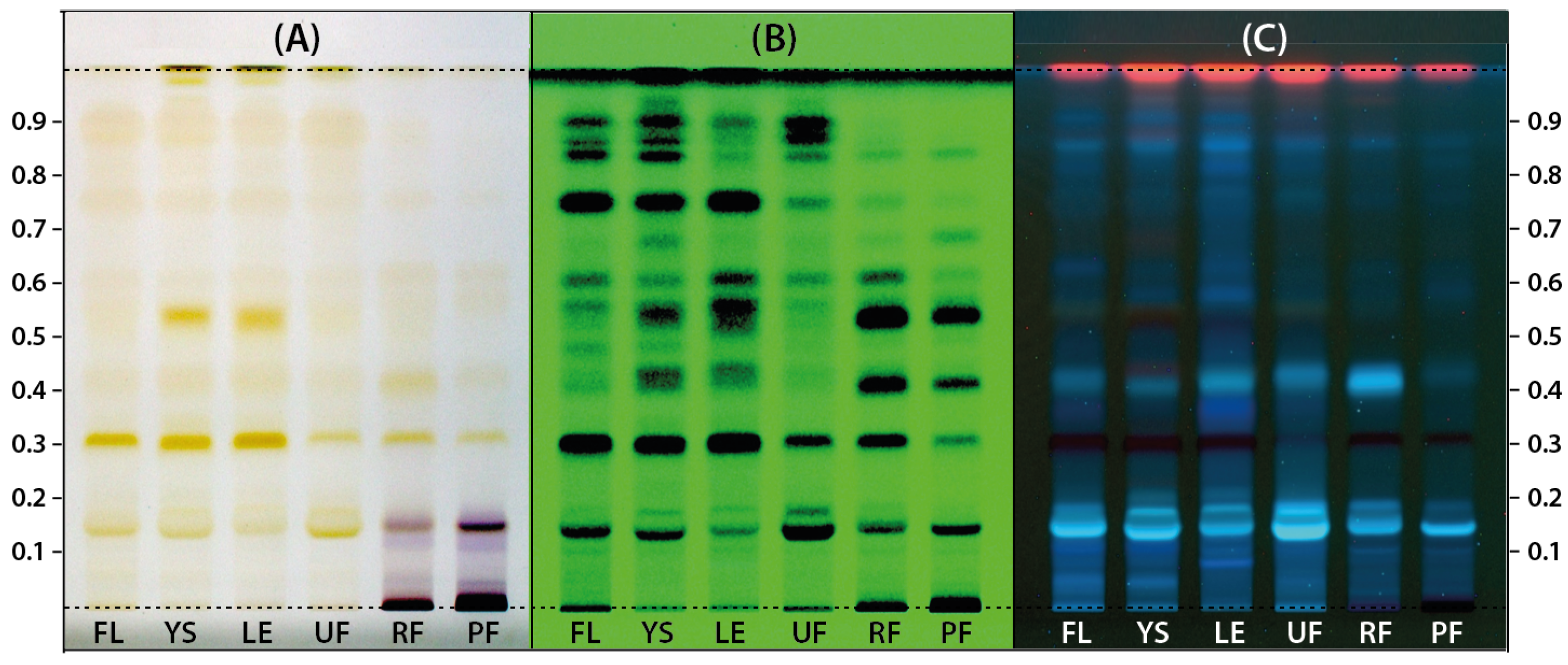 Molecules 28 08000 g001