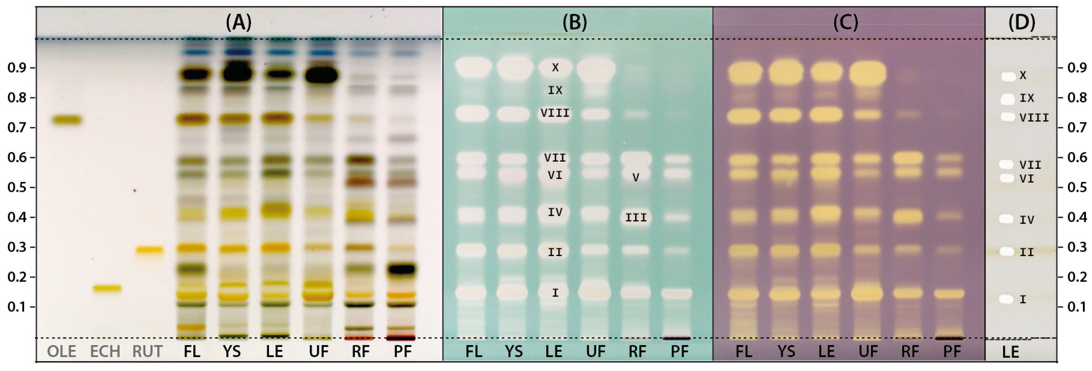 Molecules 28 08000 g002