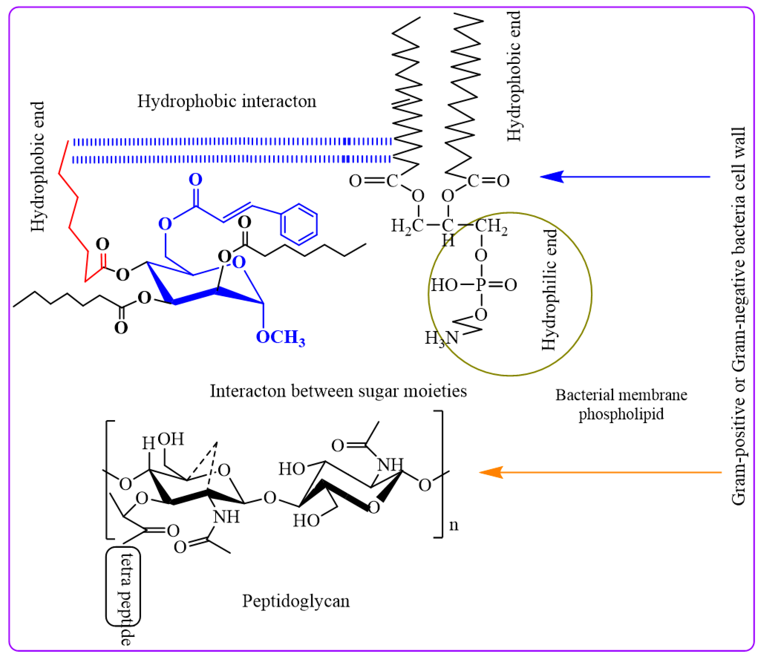 Molecules 28 08001 g009