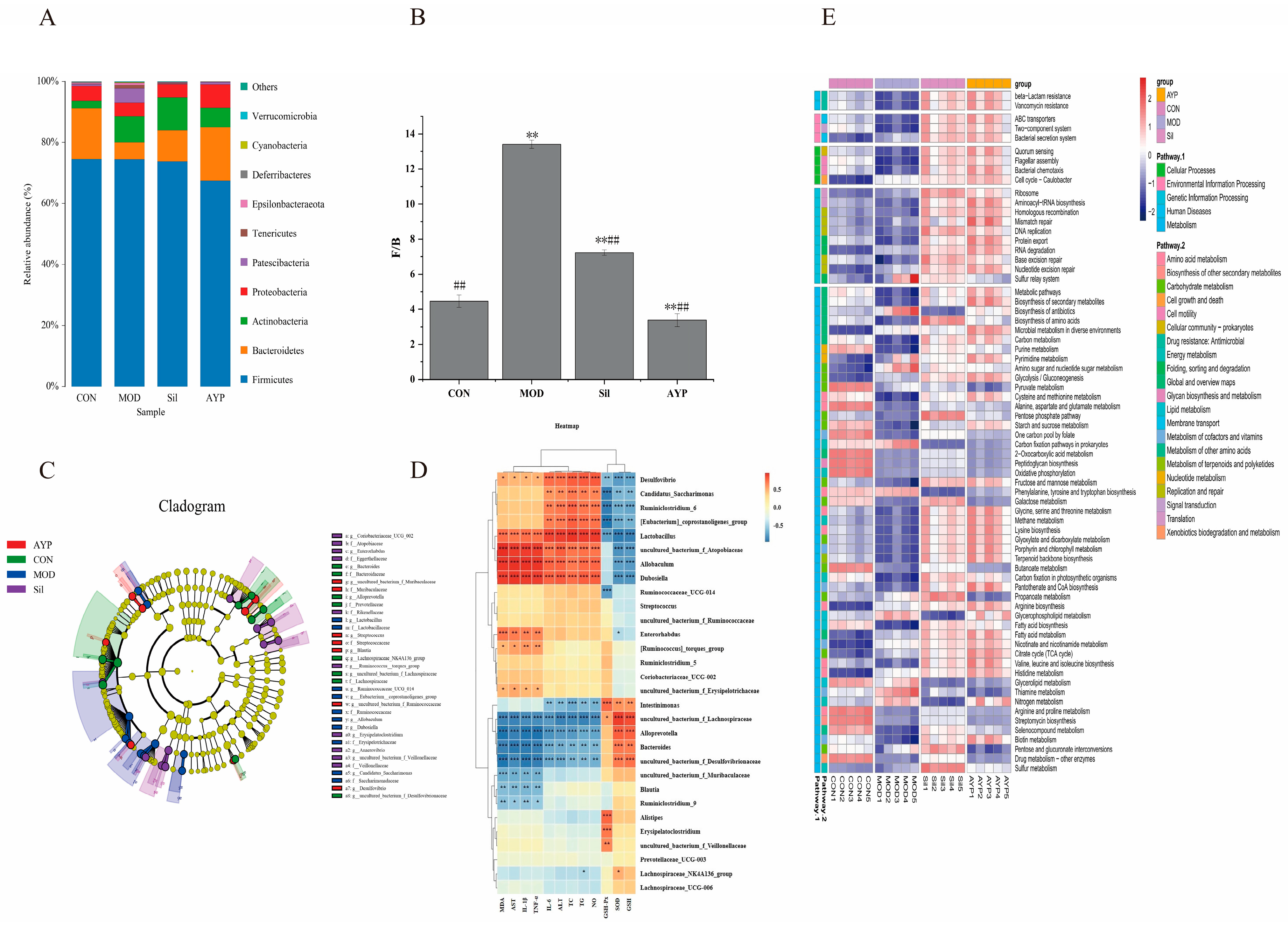 Molecules 28 08003 g006