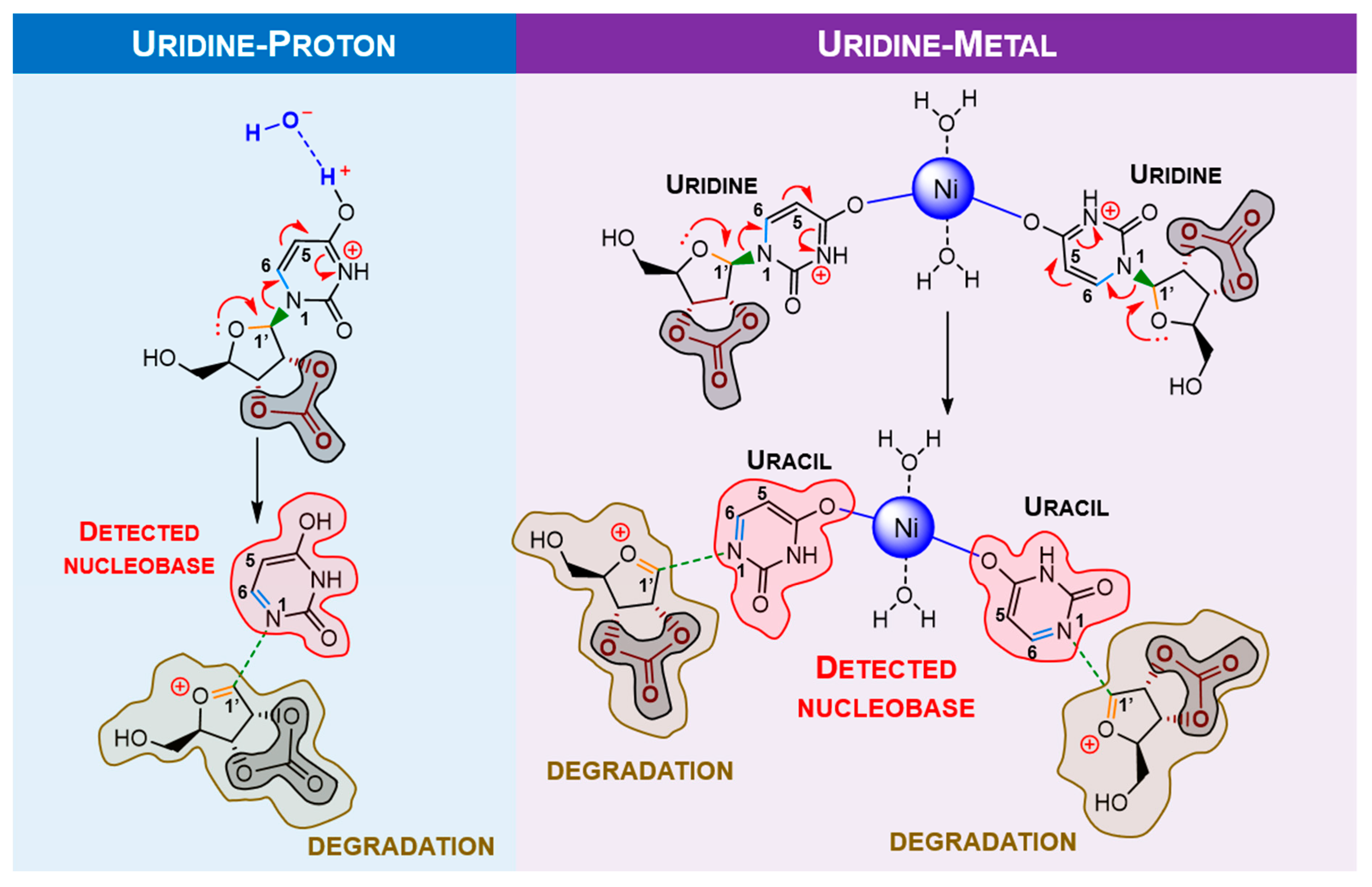 Molecules 28 08006 g012