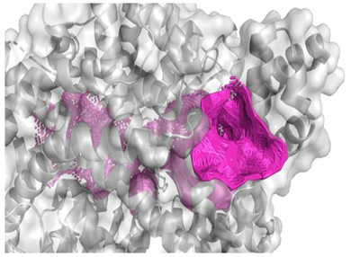 Molecules 28 08009 i005