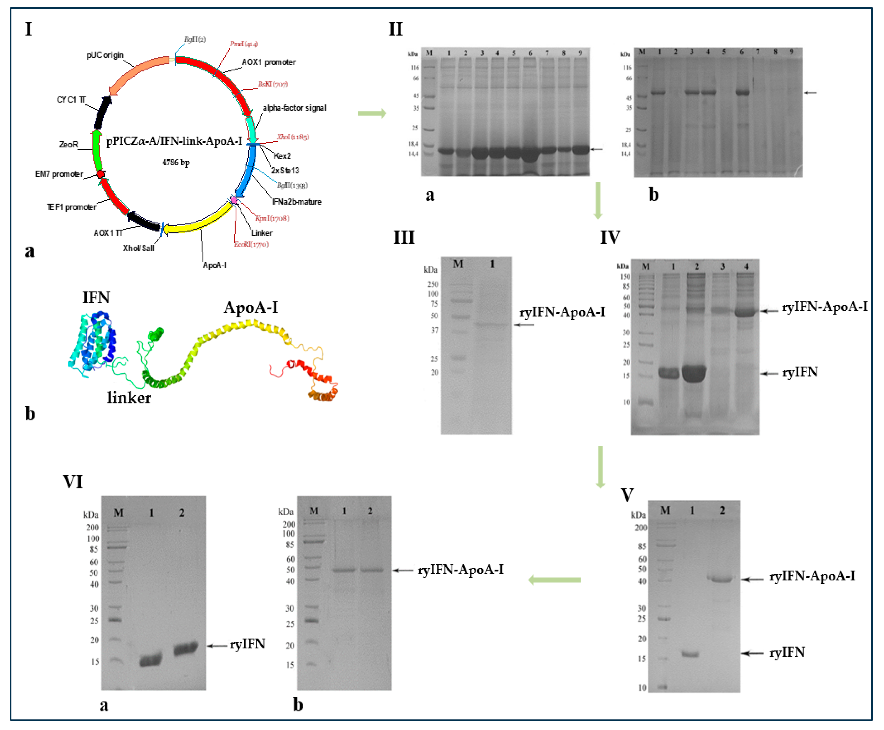 Molecules 28 08014 g001 Molecules 28 08014 g001