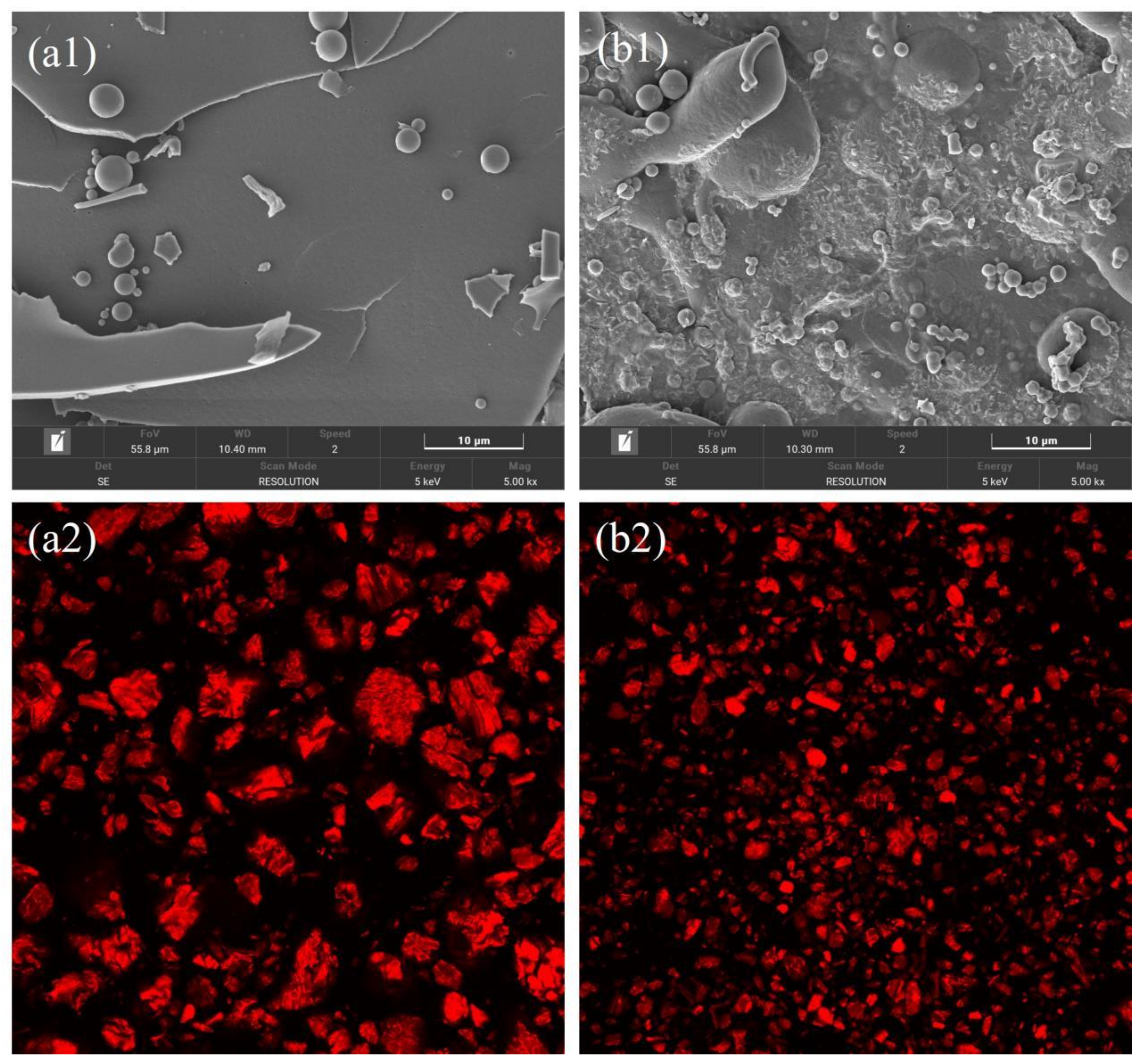 Molecules 28 08015 g004