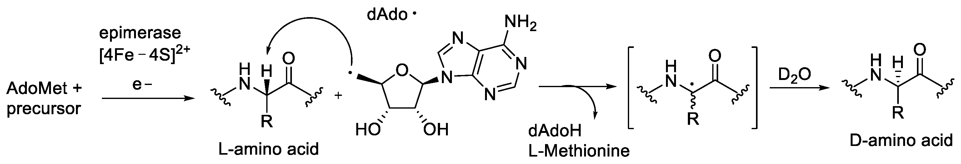 Molecules 28 08017 g003