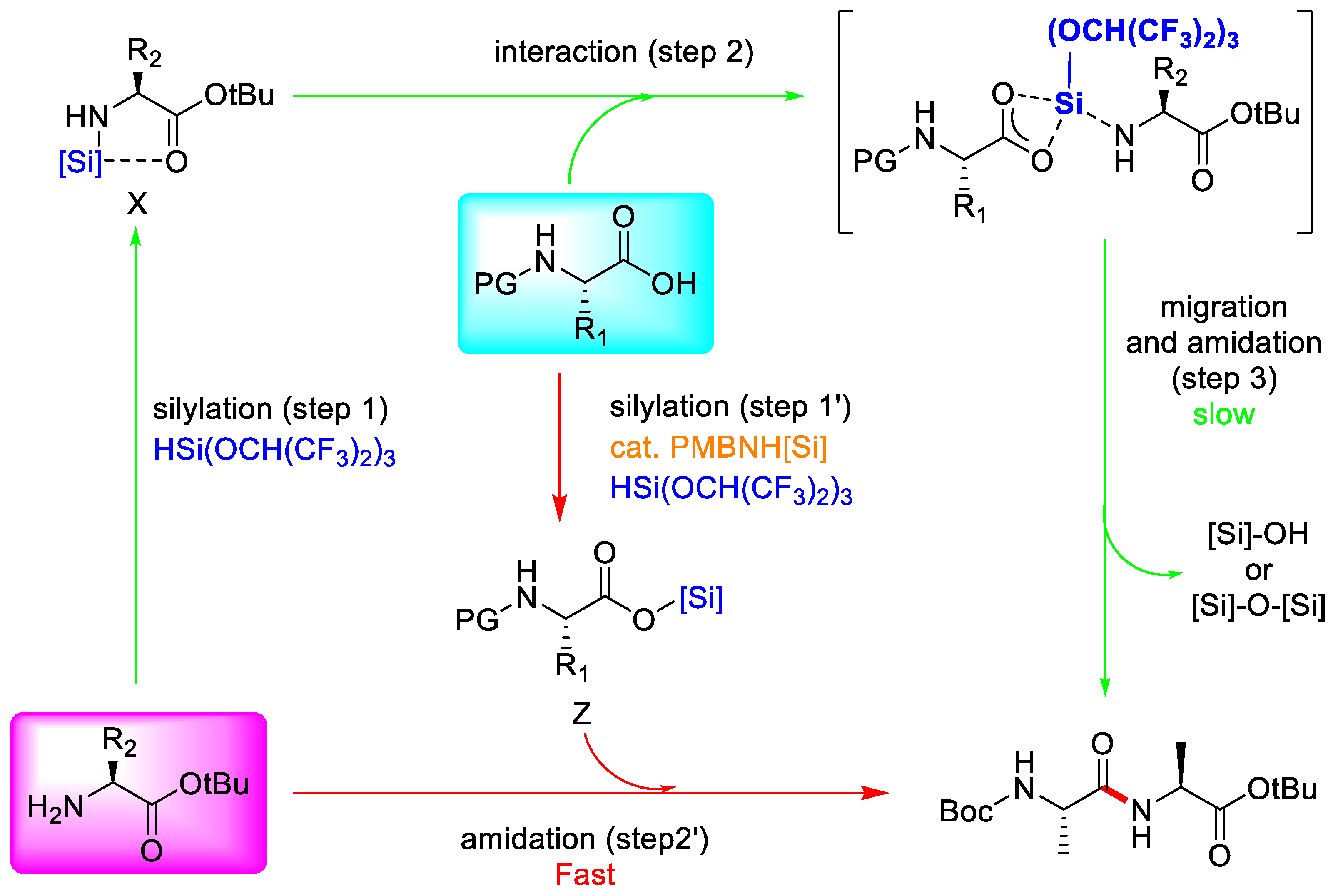Molecules 28 08017 g037