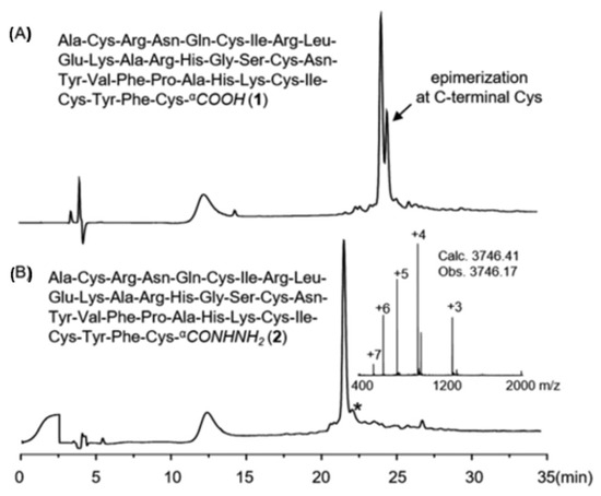 Epimerisation in Peptide Synthesis