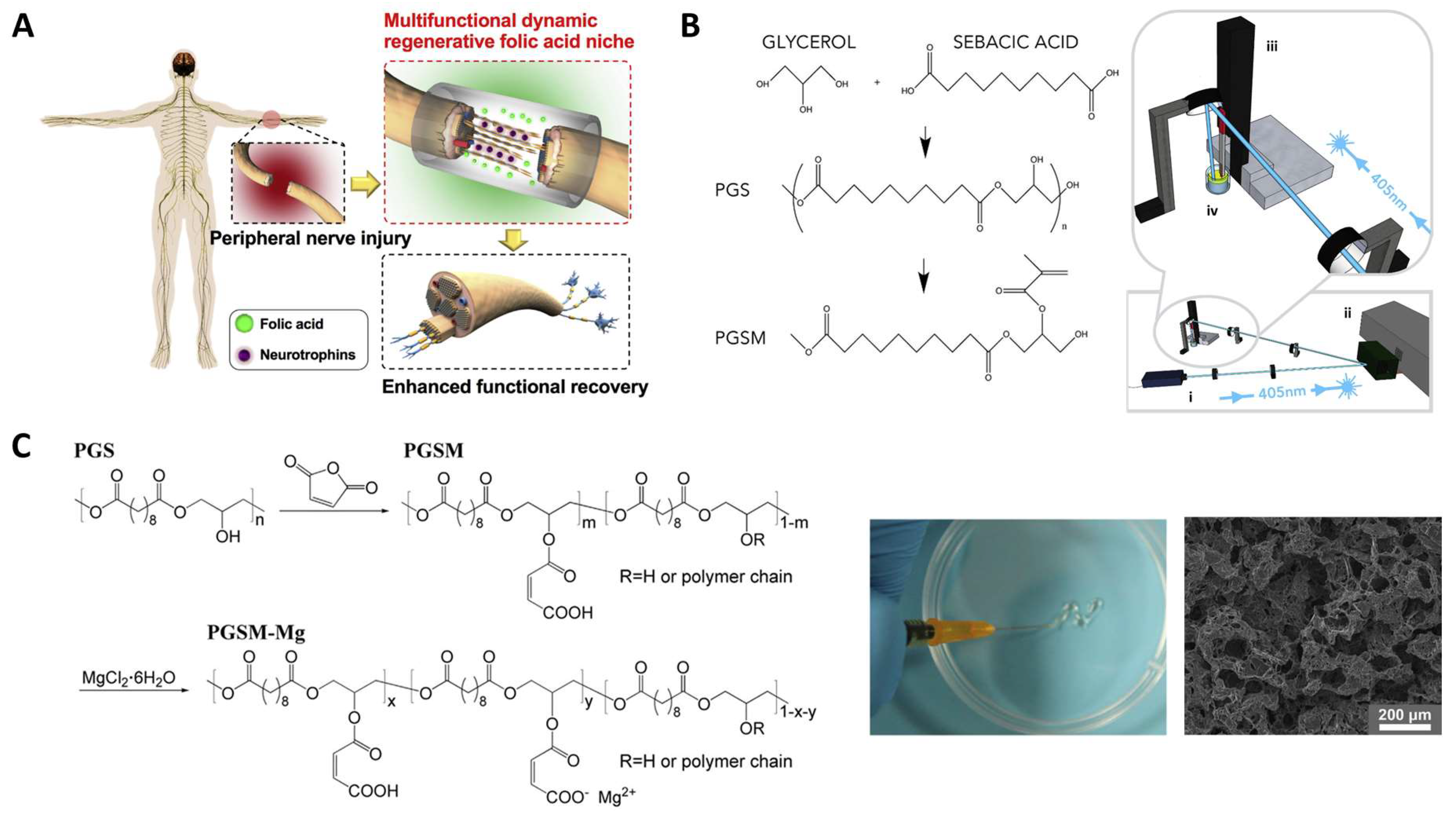 Molecules 28 08025 g005