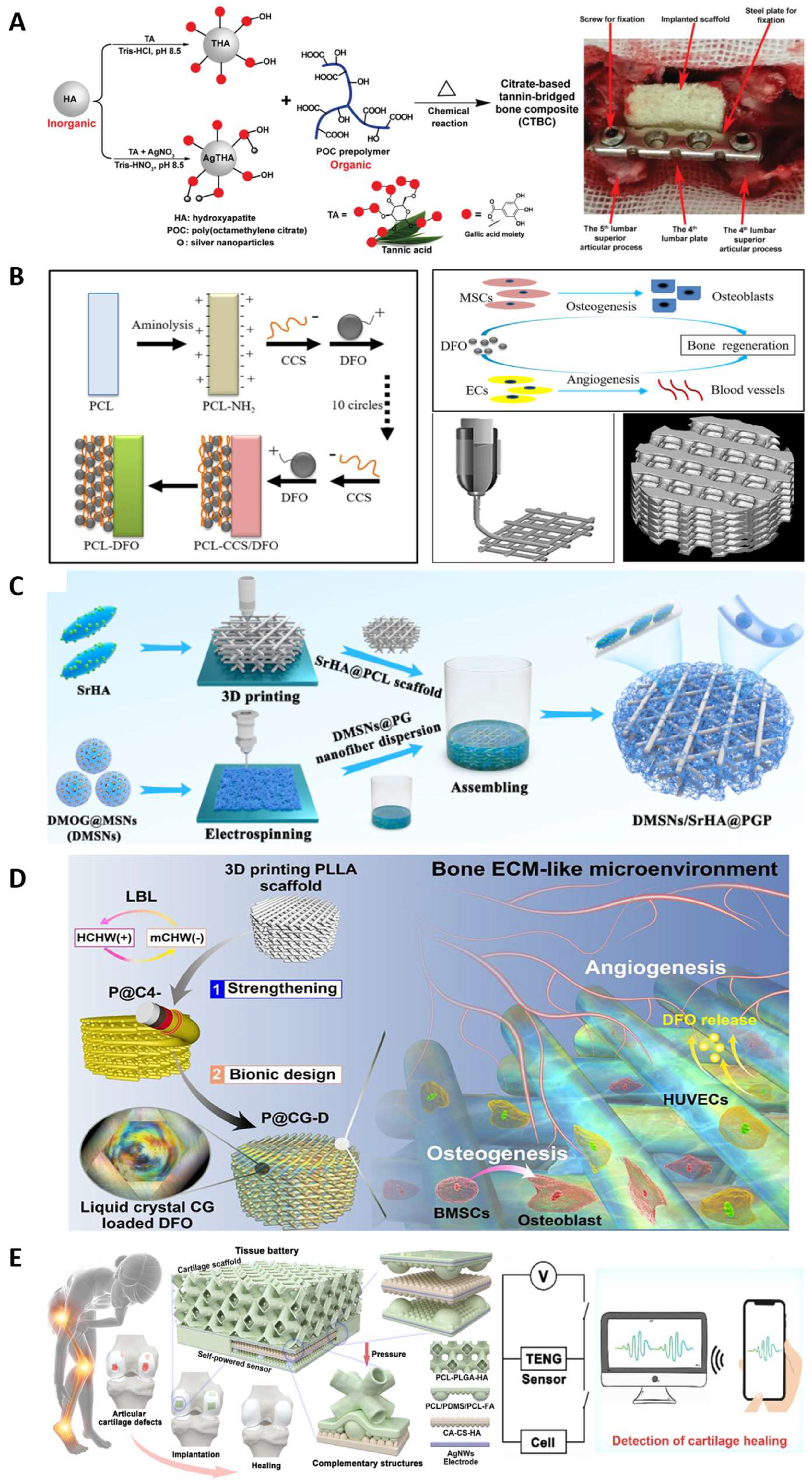 Molecules 28 08025 g006