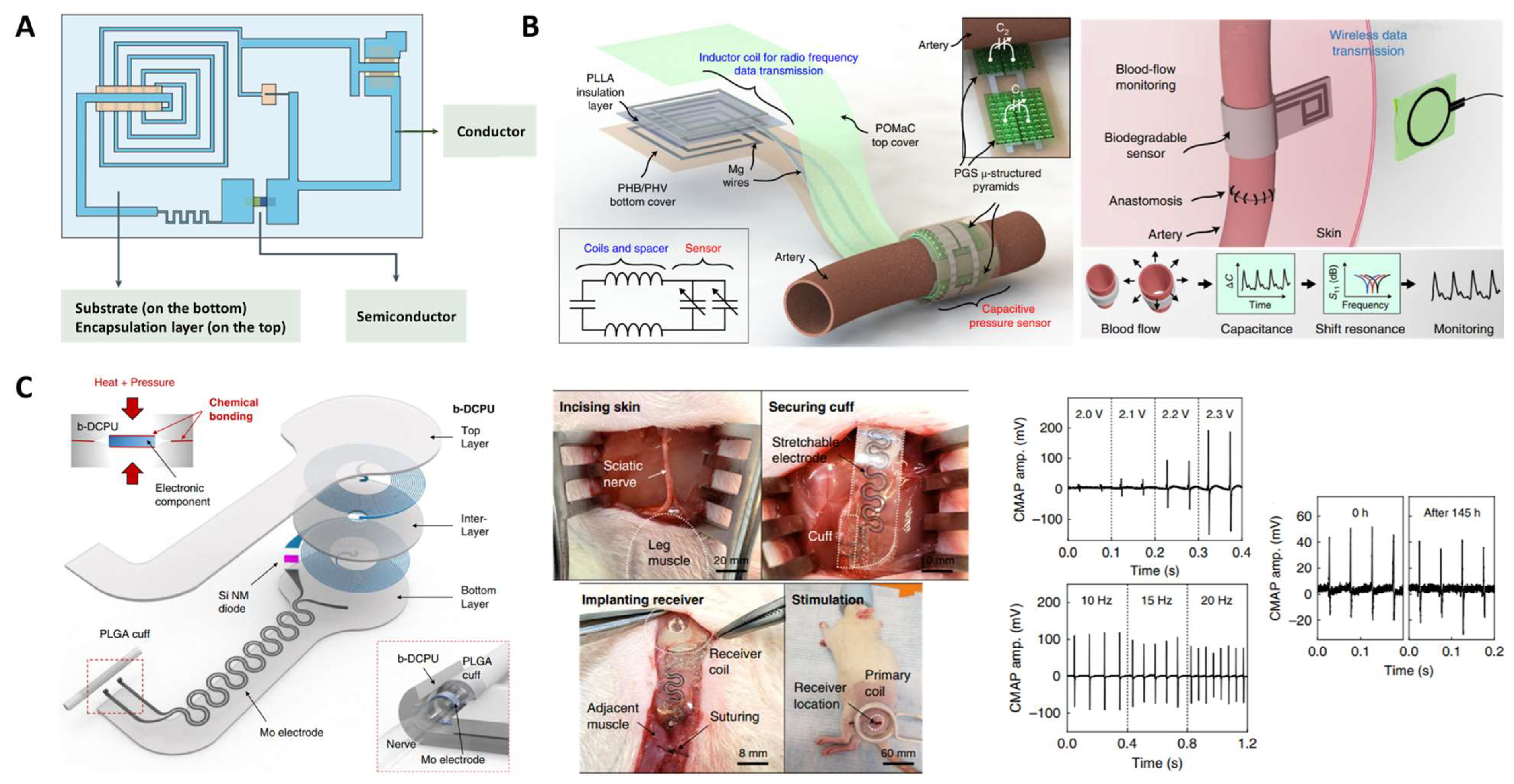 Molecules 28 08025 g008