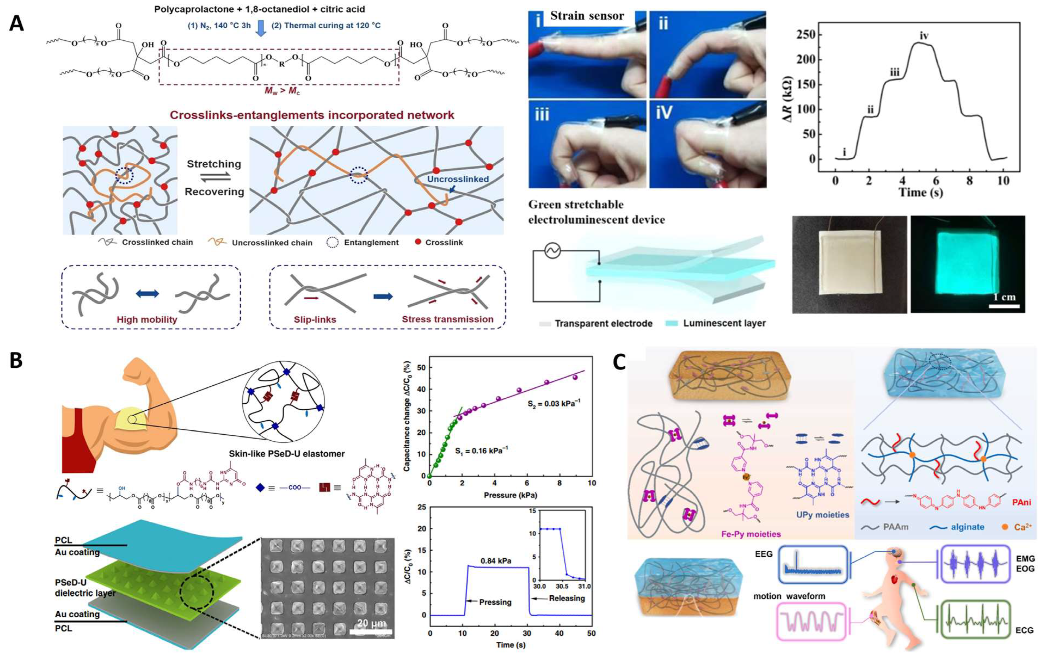 Molecules 28 08025 g009