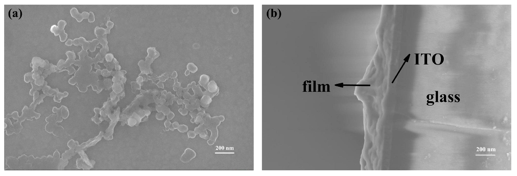 Molecules 28 08027 g003