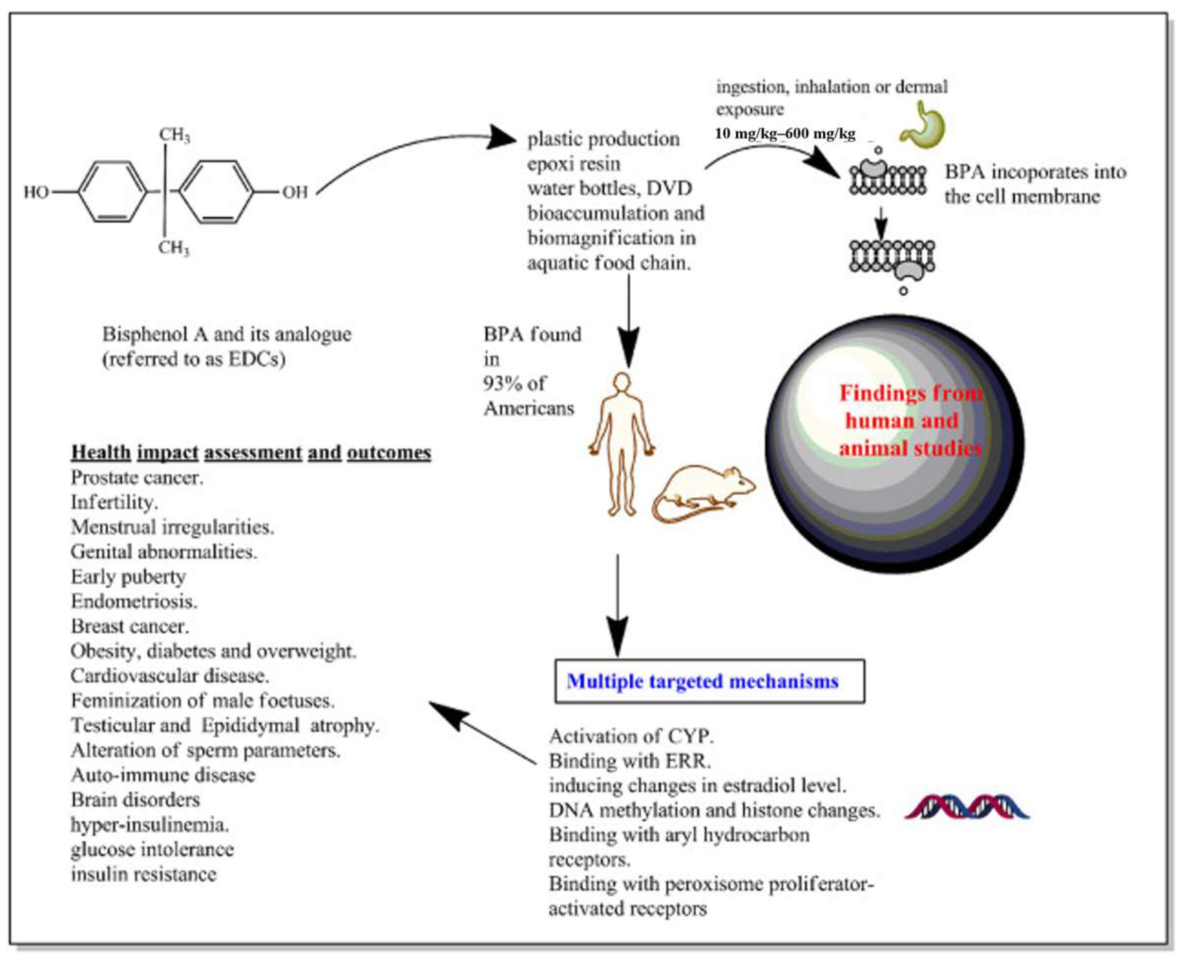 Molecules 28 08028 g002