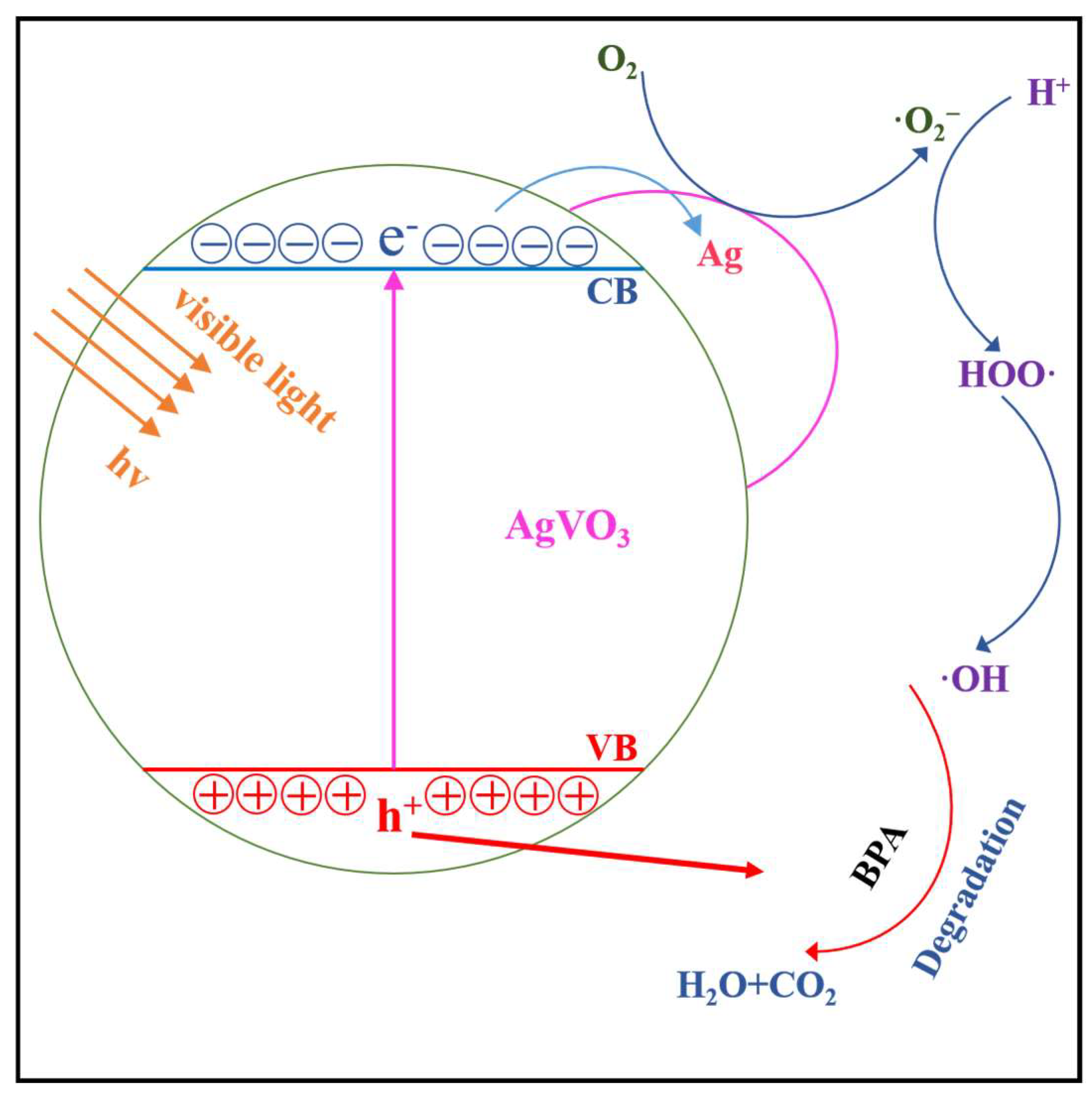 Molecules 28 08028 g006