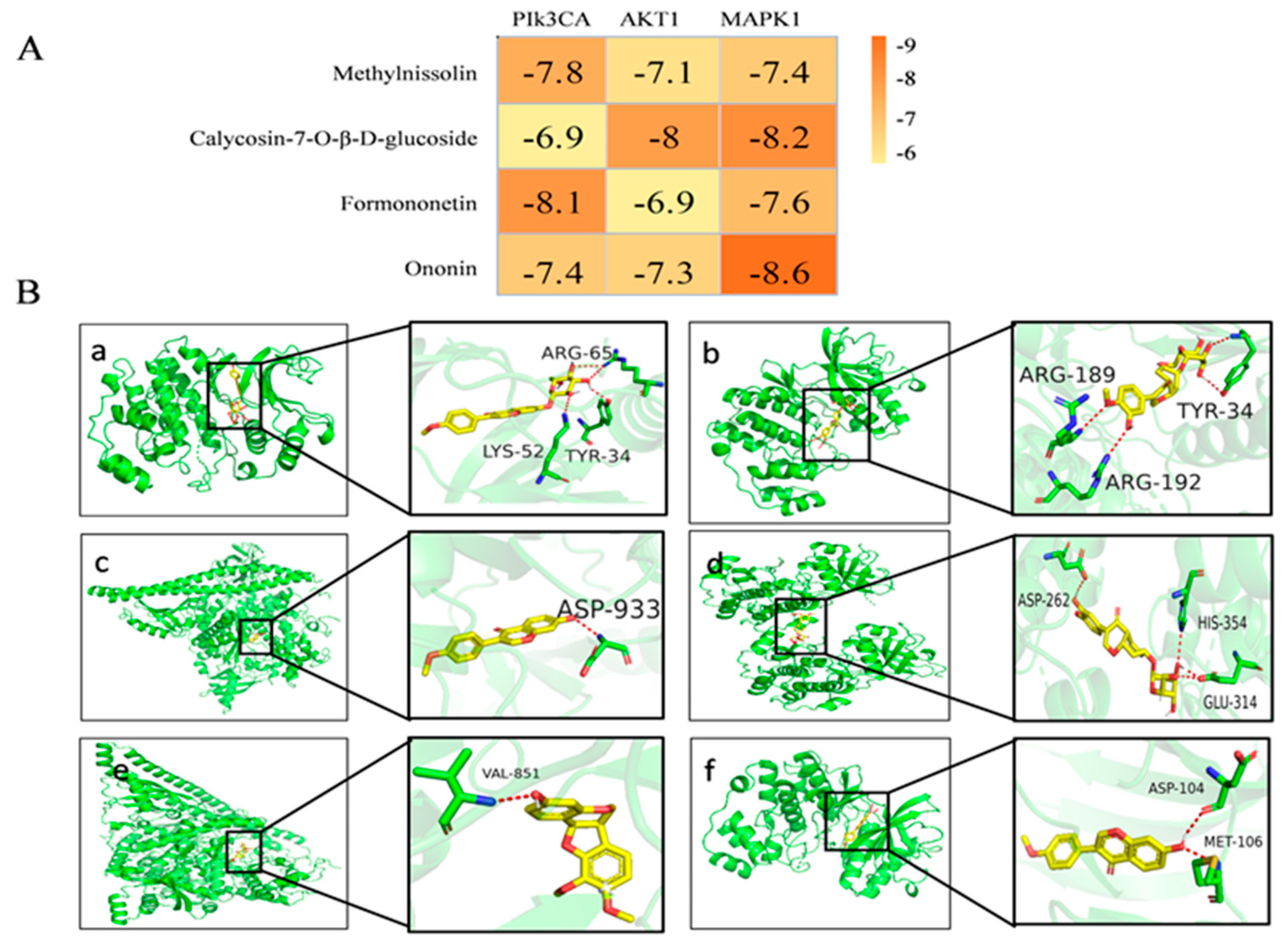 Molecules 28 08030 g005
