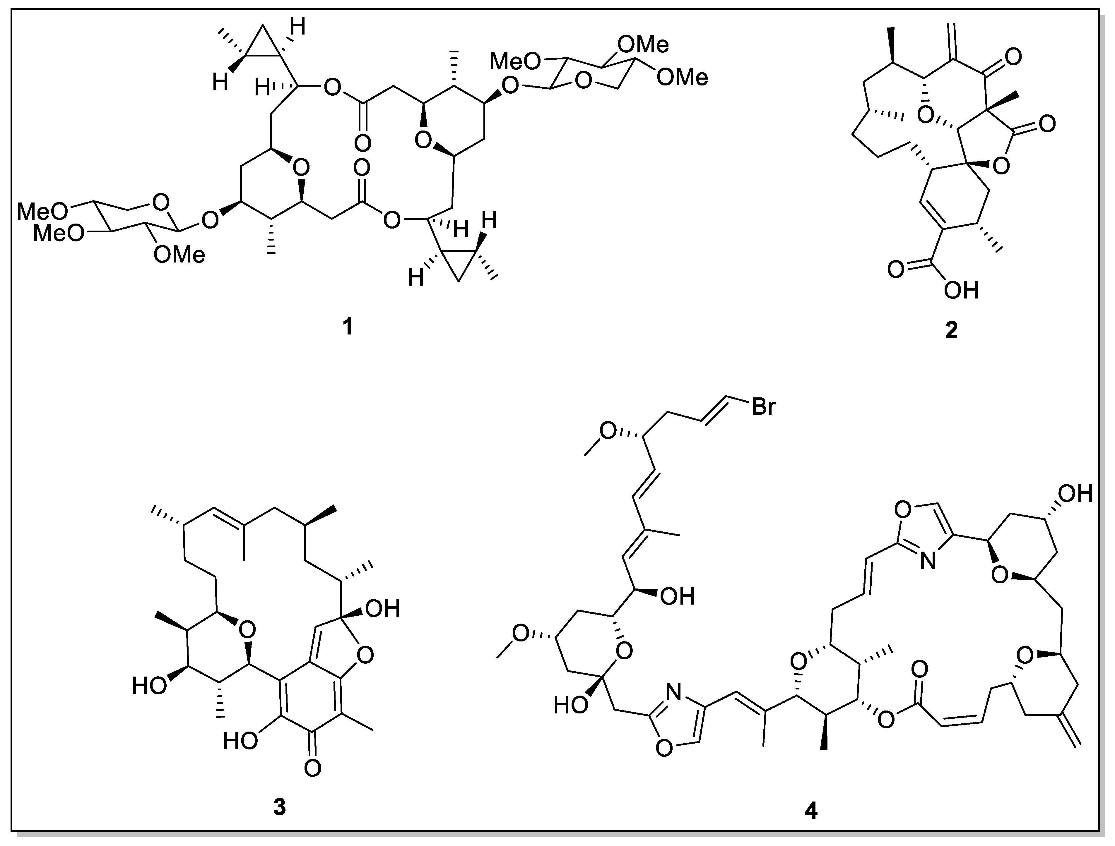 Molecules 28 08032 g002