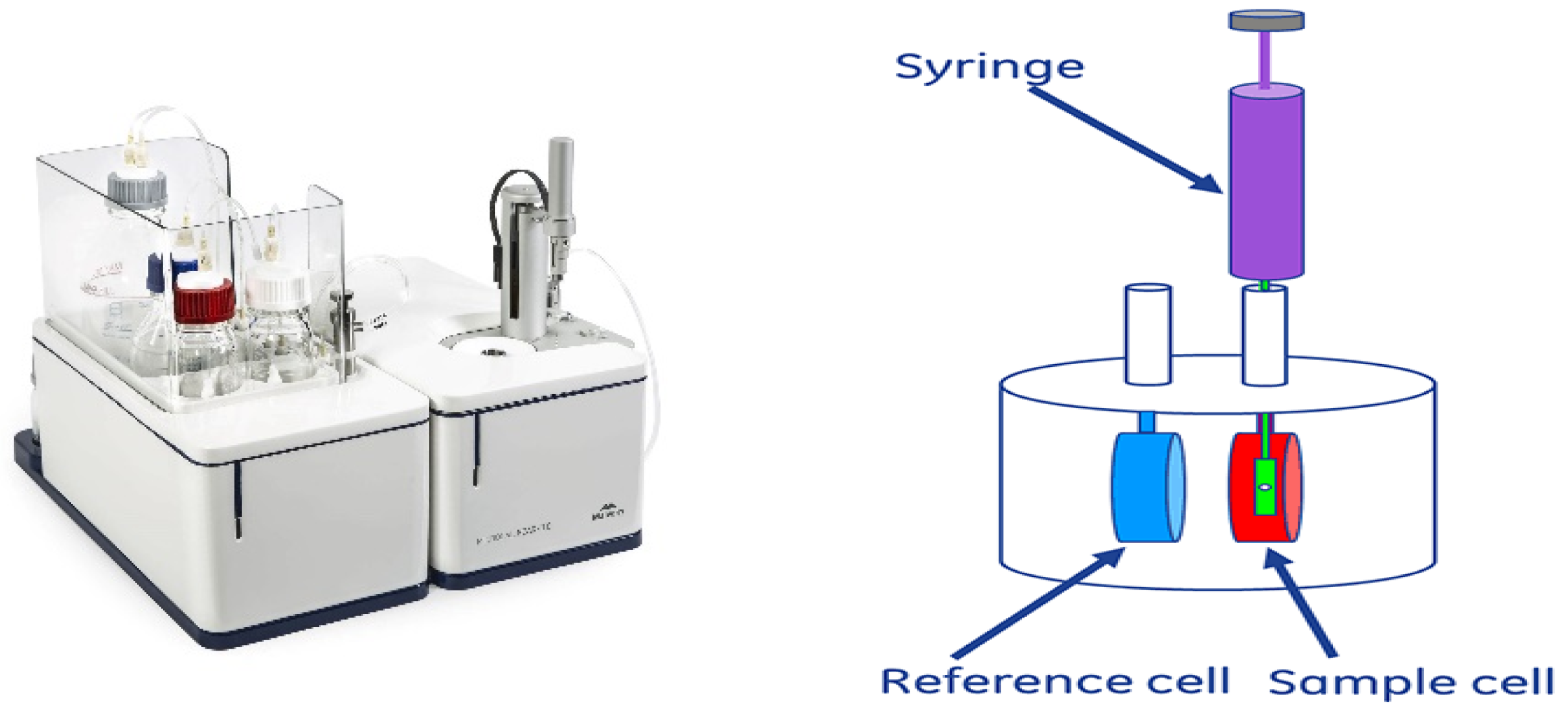 Molecules 28 08039 g006
