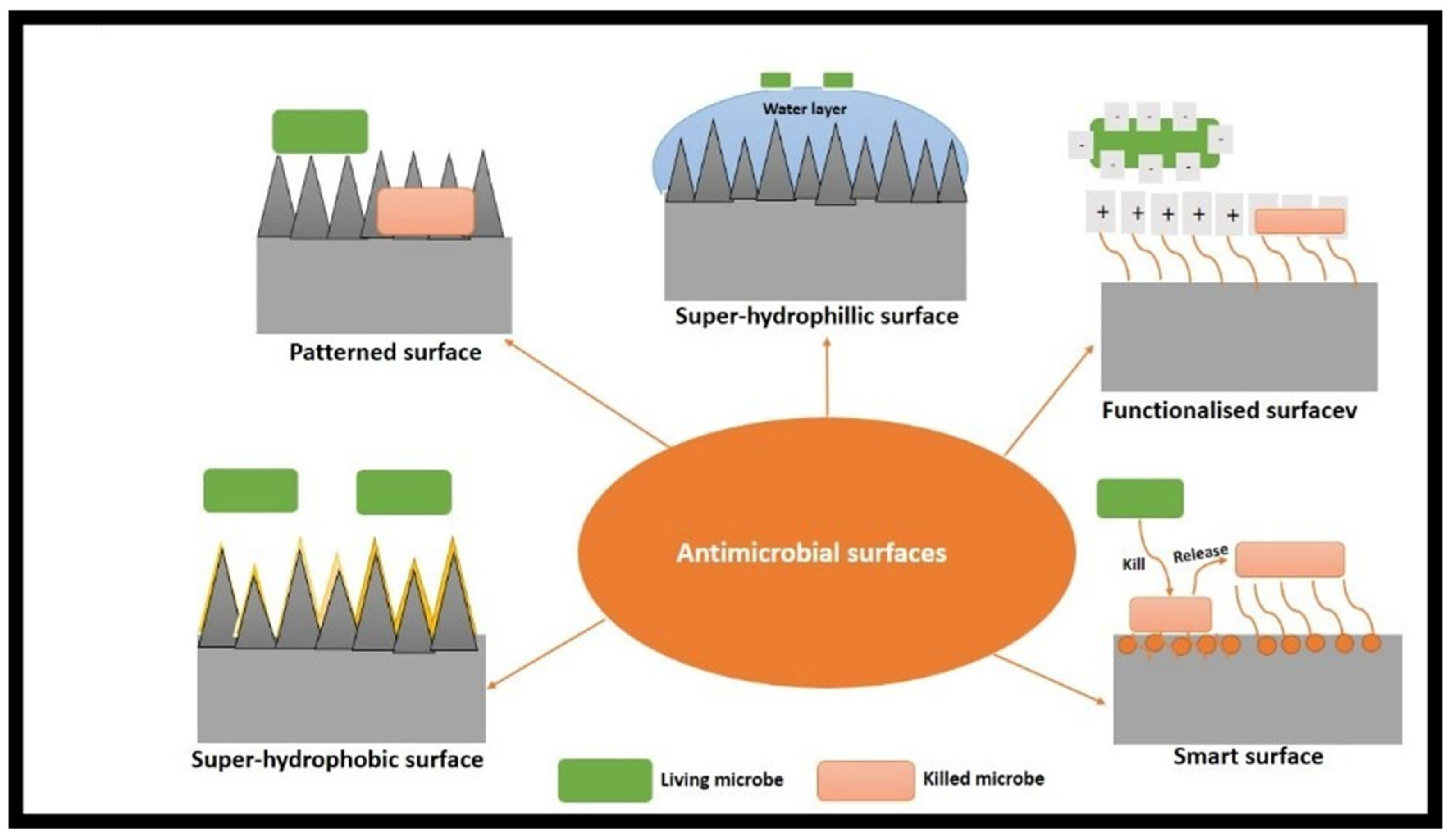 Molecules 28 08041 g001