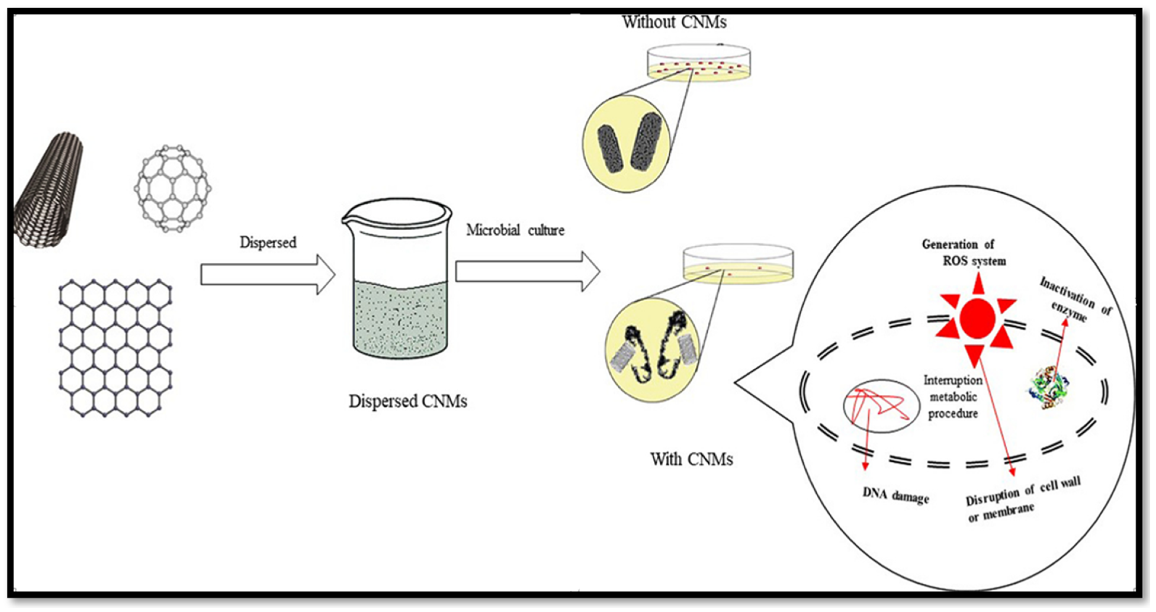 Molecules 28 08041 g005