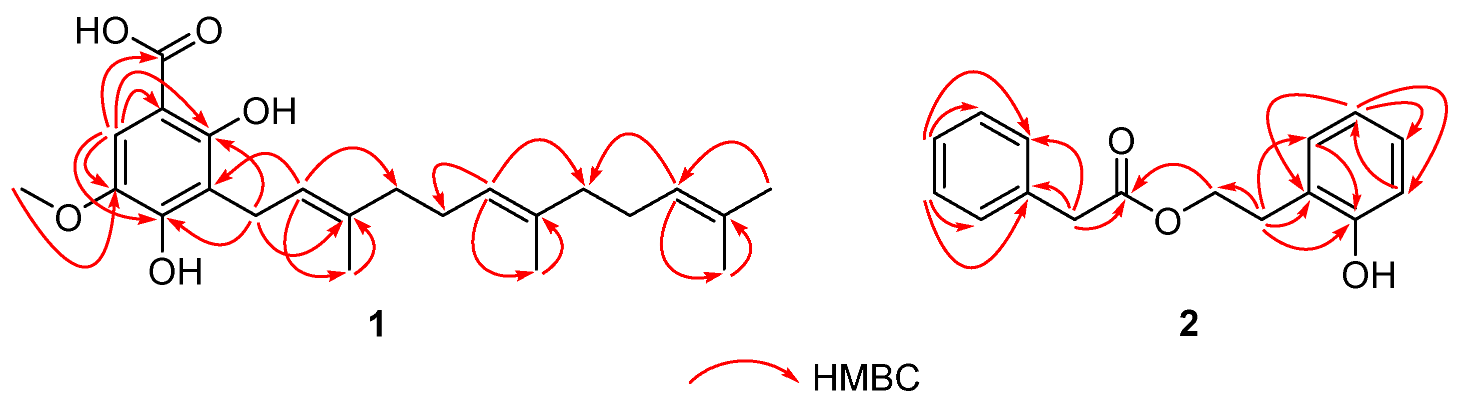 Two New Compounds from the Endophytic Fungi of Dryopteris