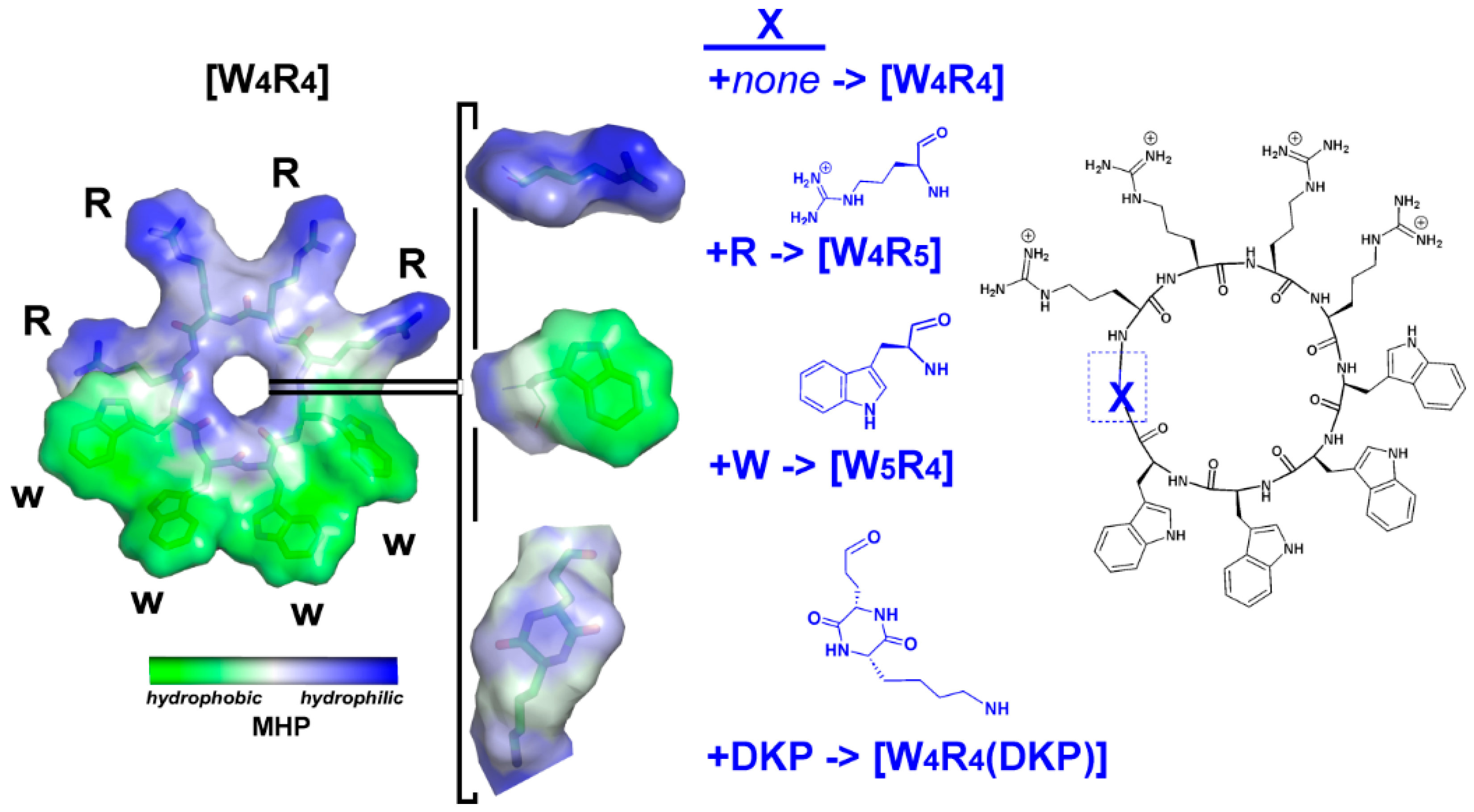 Molecules 28 08049 g001